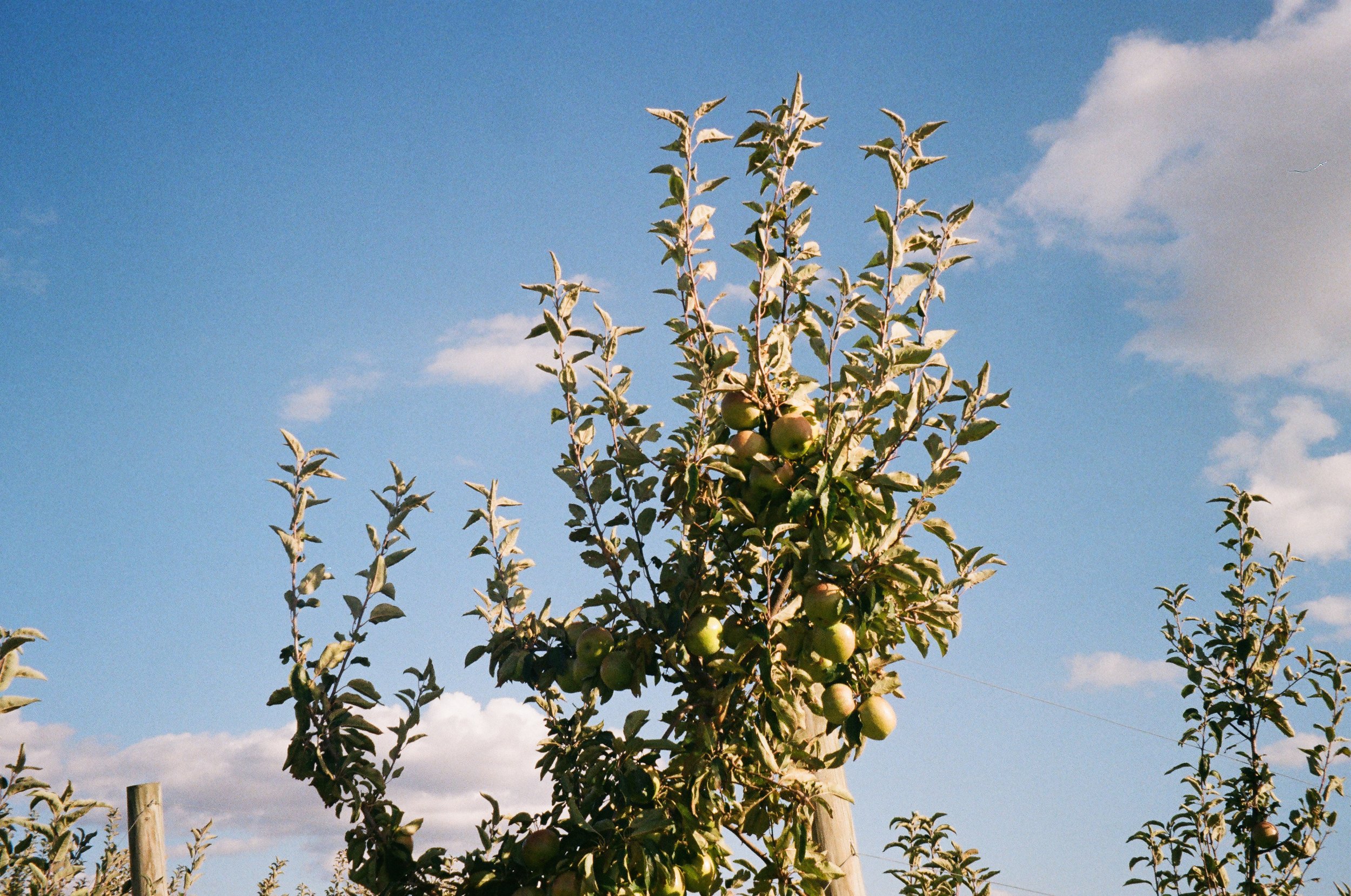 compressed_image 5.jpg