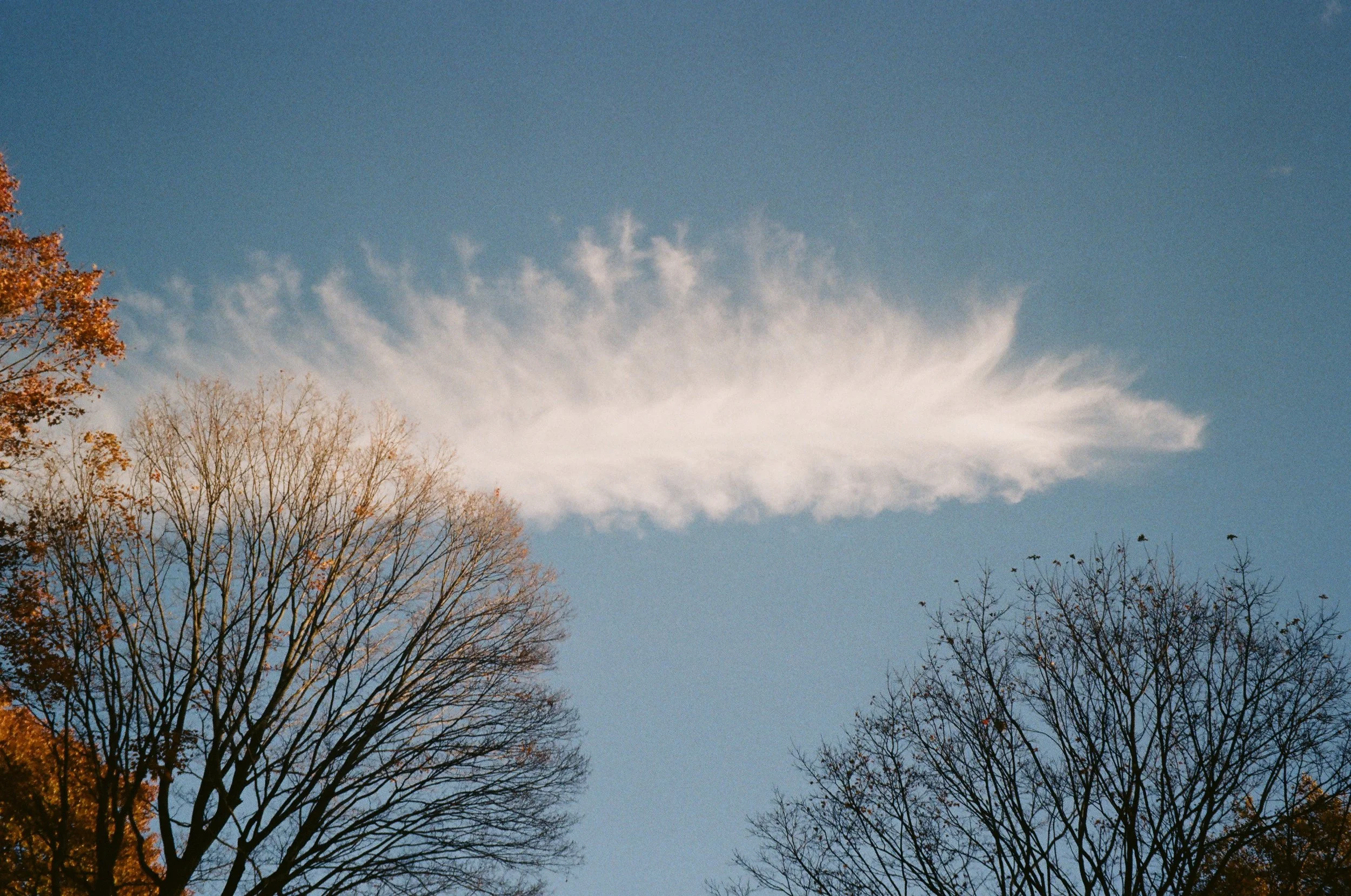 compressed_image 9.jpg