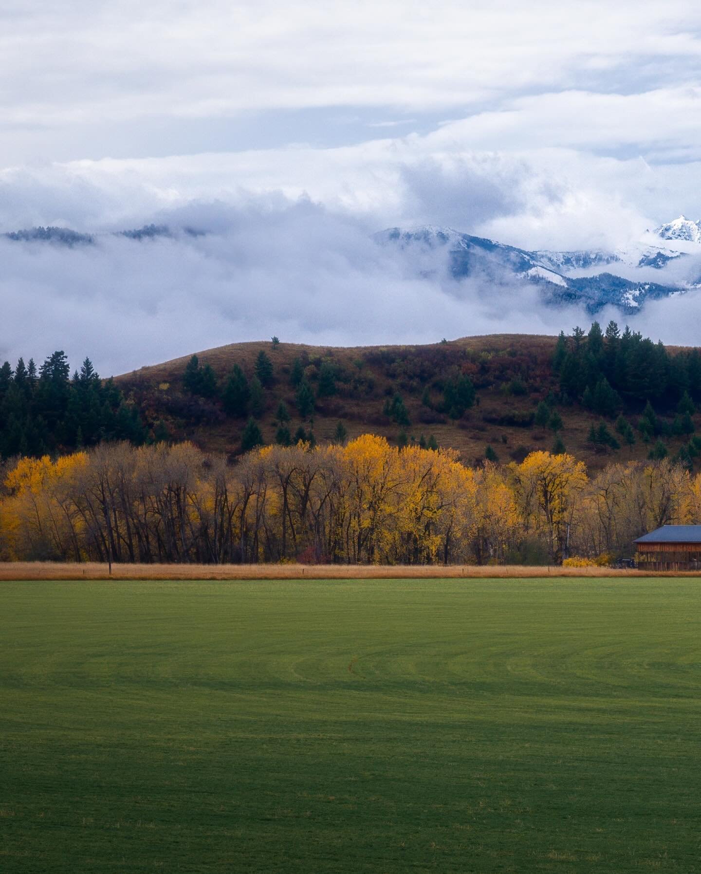 Another day, another barn. Because when you&rsquo;re a dad with two toddlers, finding time to shoot anything else is&hellip; well, as rare as a quiet car ride. Enjoy my latest barn obsession while I wait for my next 5 minutes of free time in 2037

#M