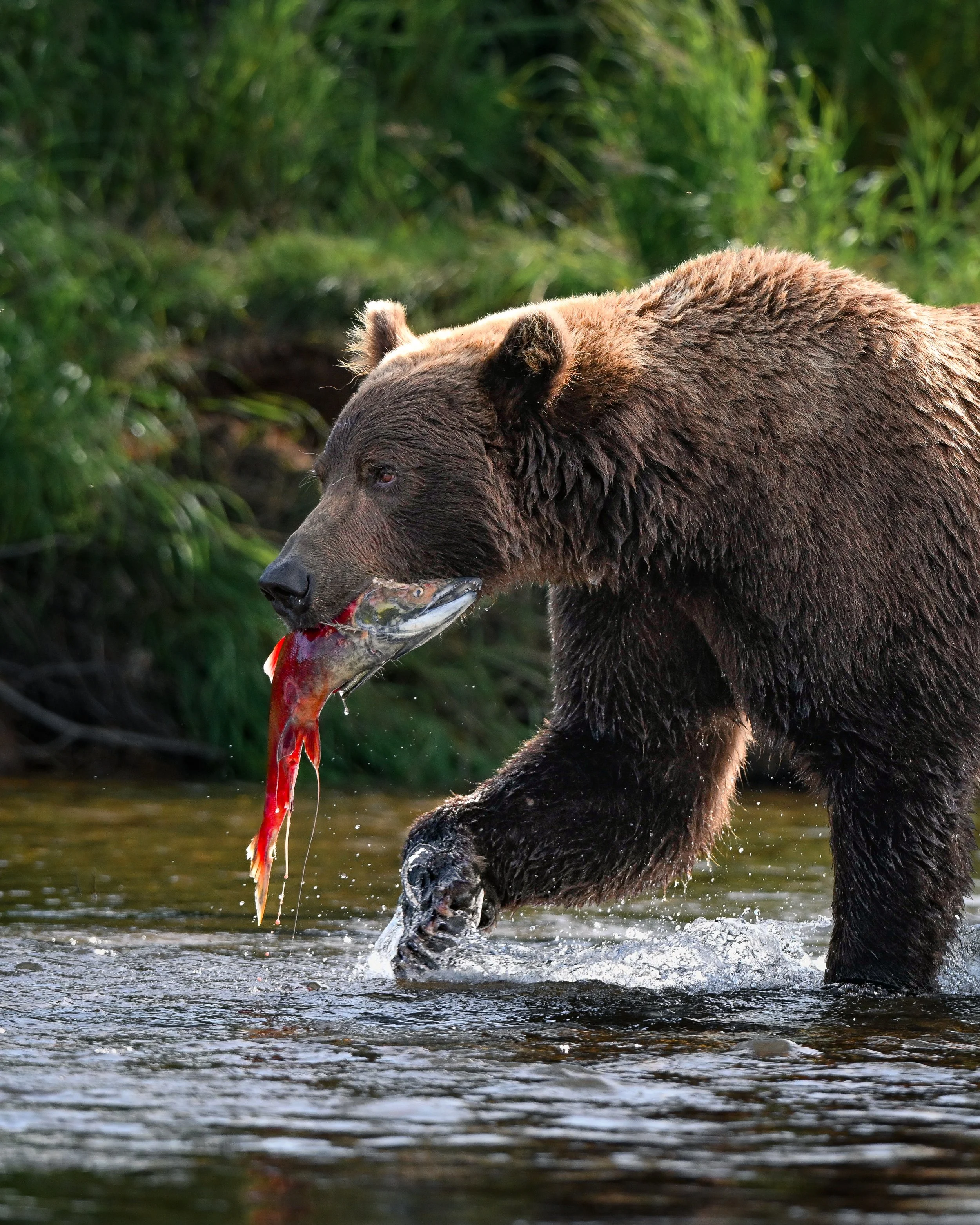 2025 ALASKA-13.jpg