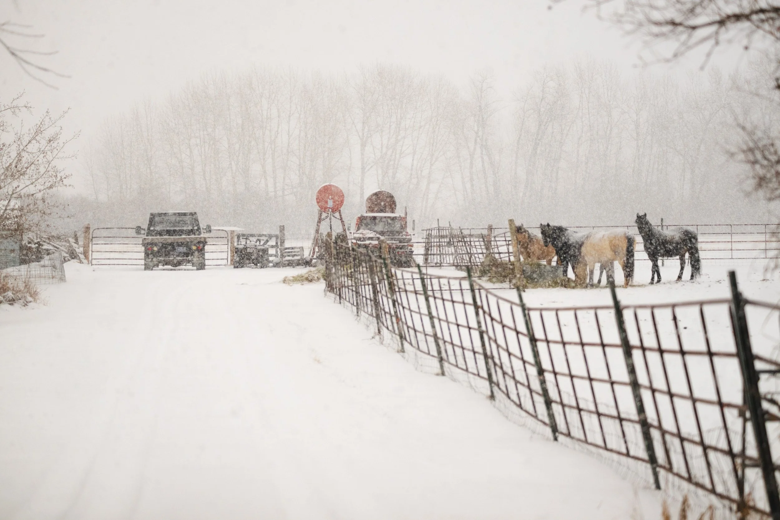 agriculture__2025 Winter Storm Agriculture-1-4.jpg