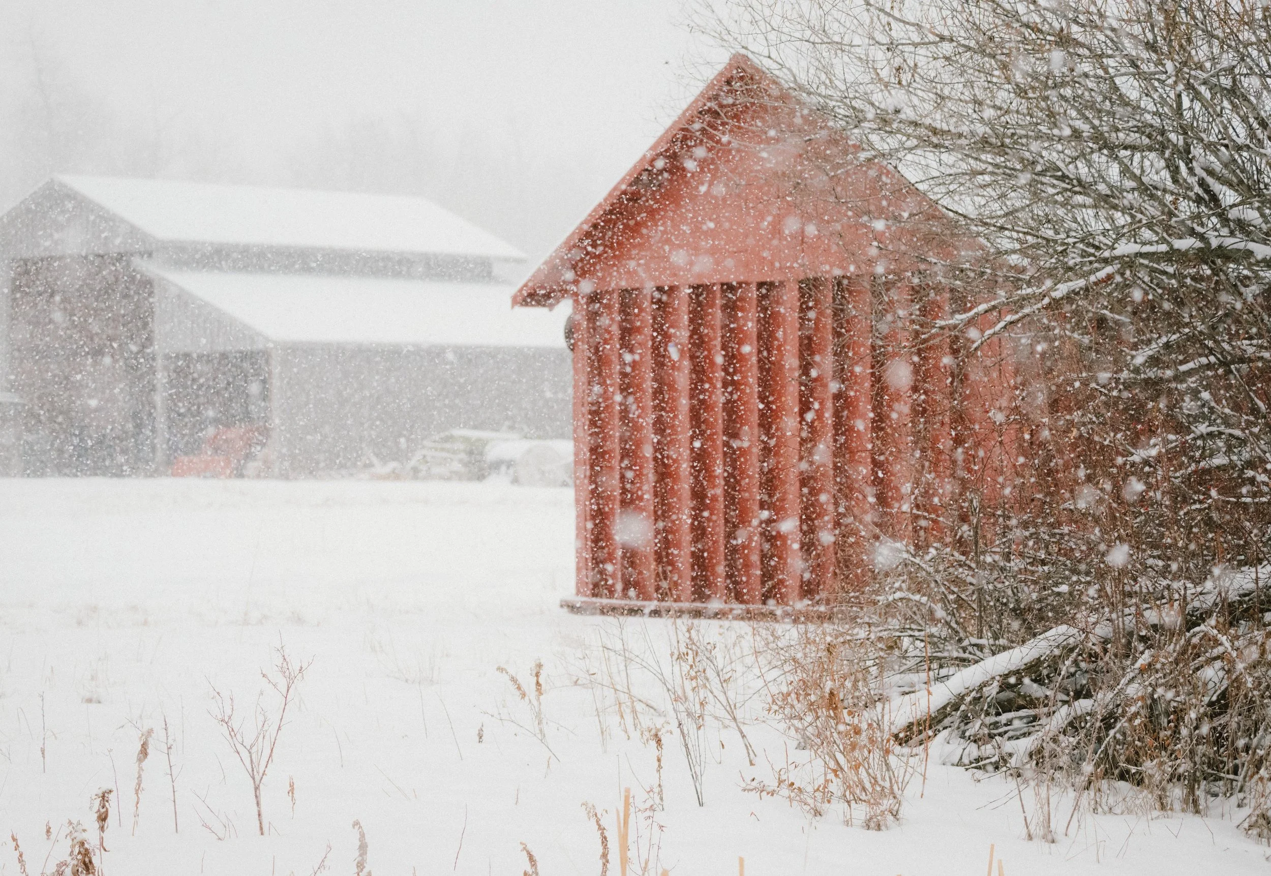agriculture__2025 Color Winter Blizzard Farm-11.jpg