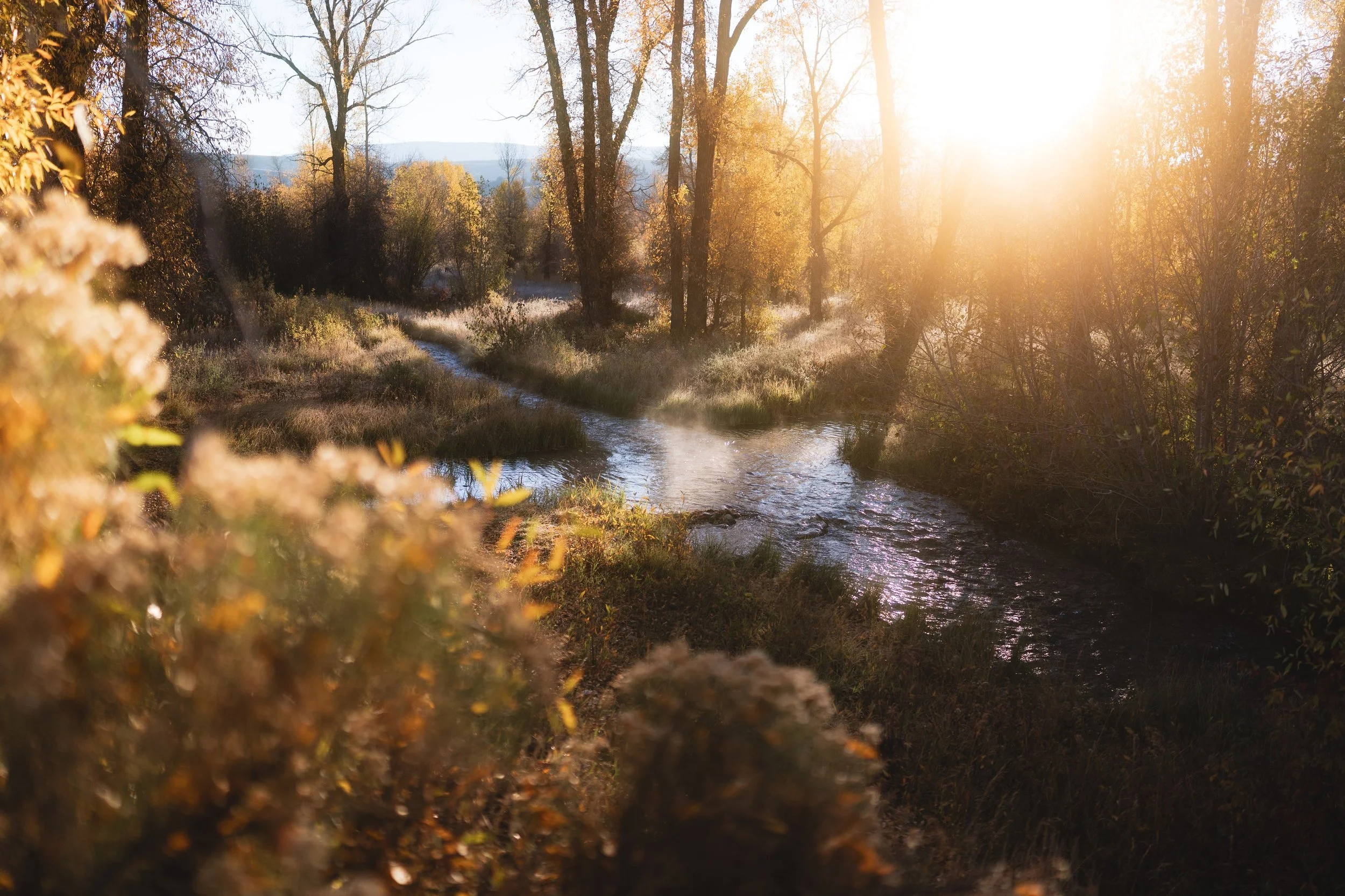 landscapes__2025 Grand Teton Fall-3.jpg