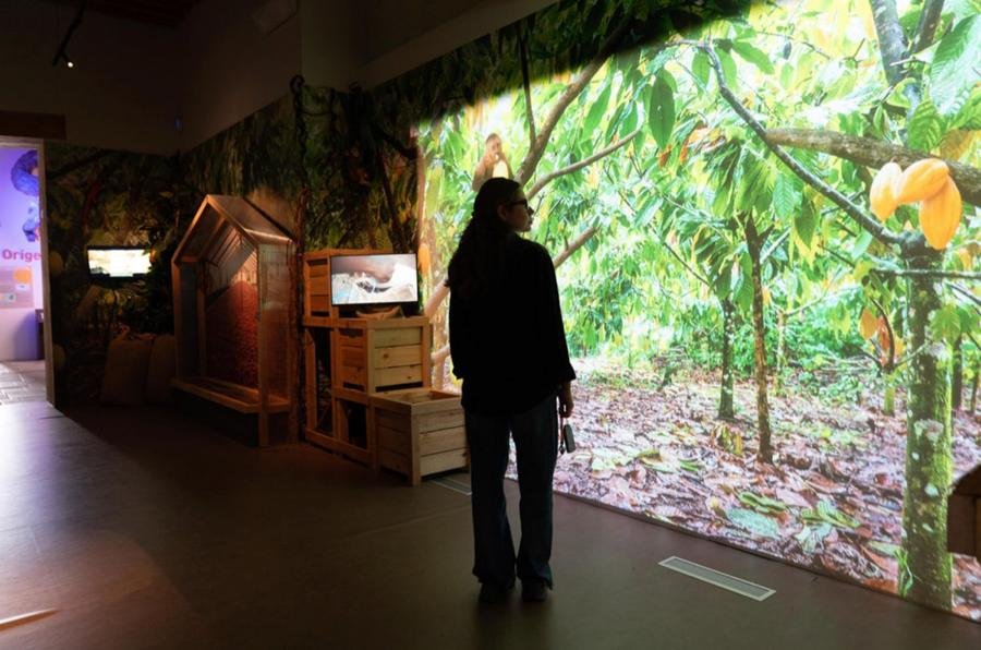 Recorrido inmersivo en museo del chocolate