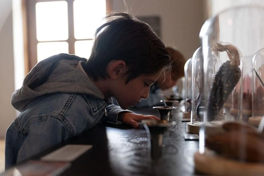 Niño observando de cerca una vitrina del museo del chocolate