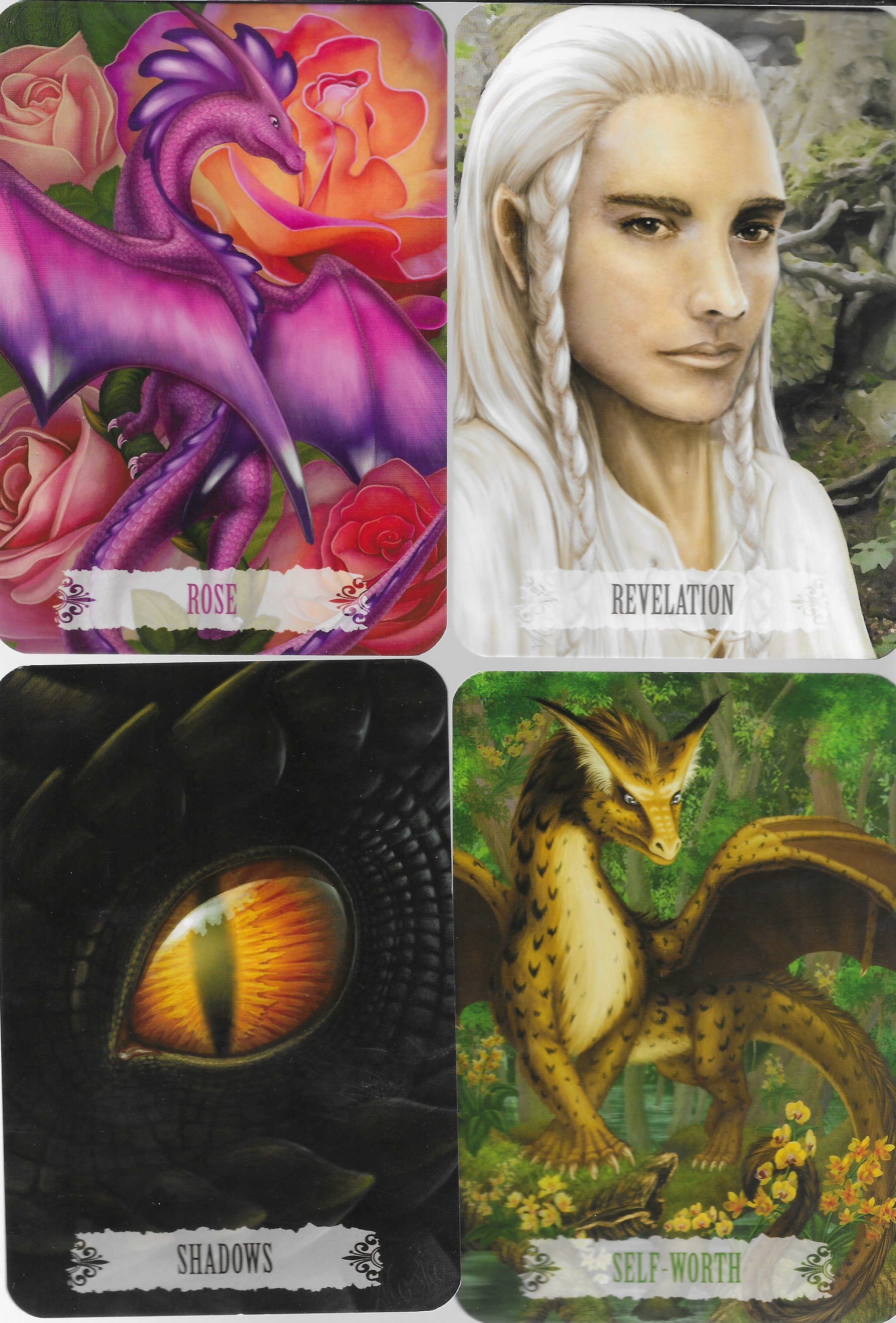 Dragon Wisdom R-S 9.jpg