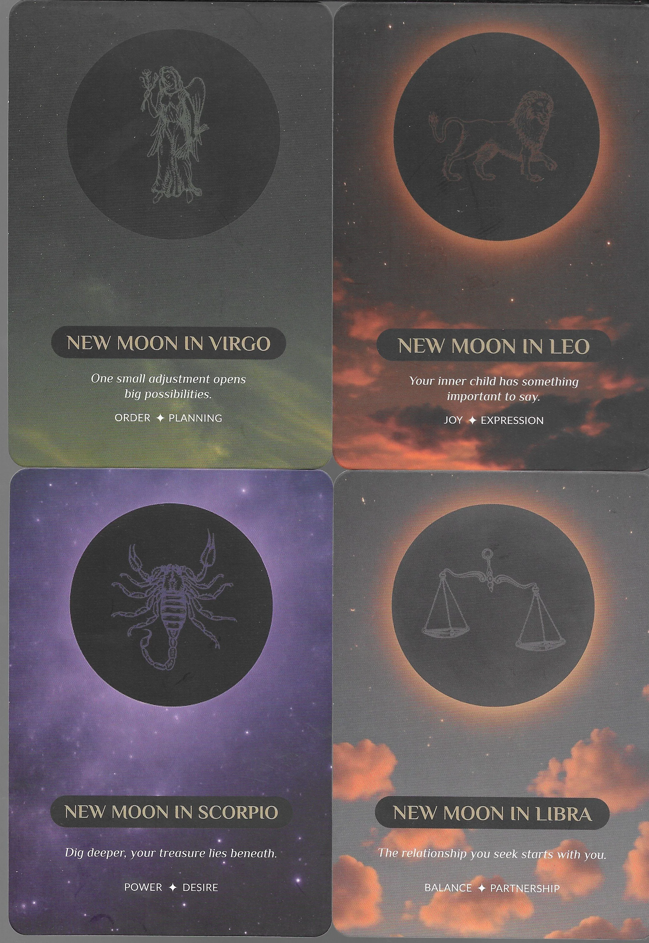 NM Leo-Scorpio 7.jpg