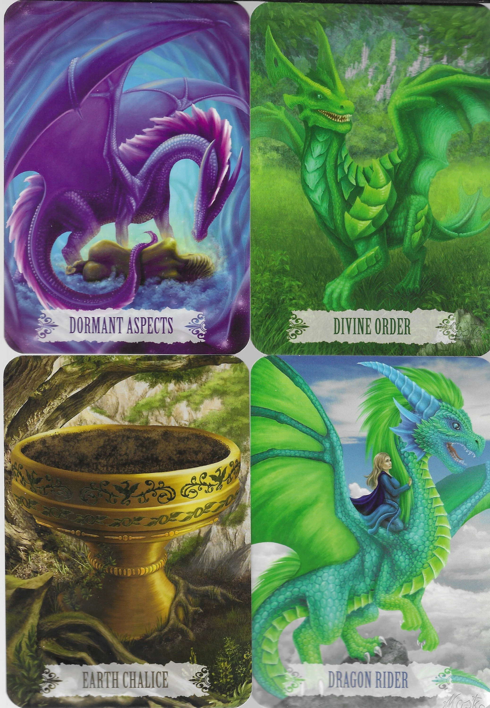 Dragon Wisdom D-E 3.jpg