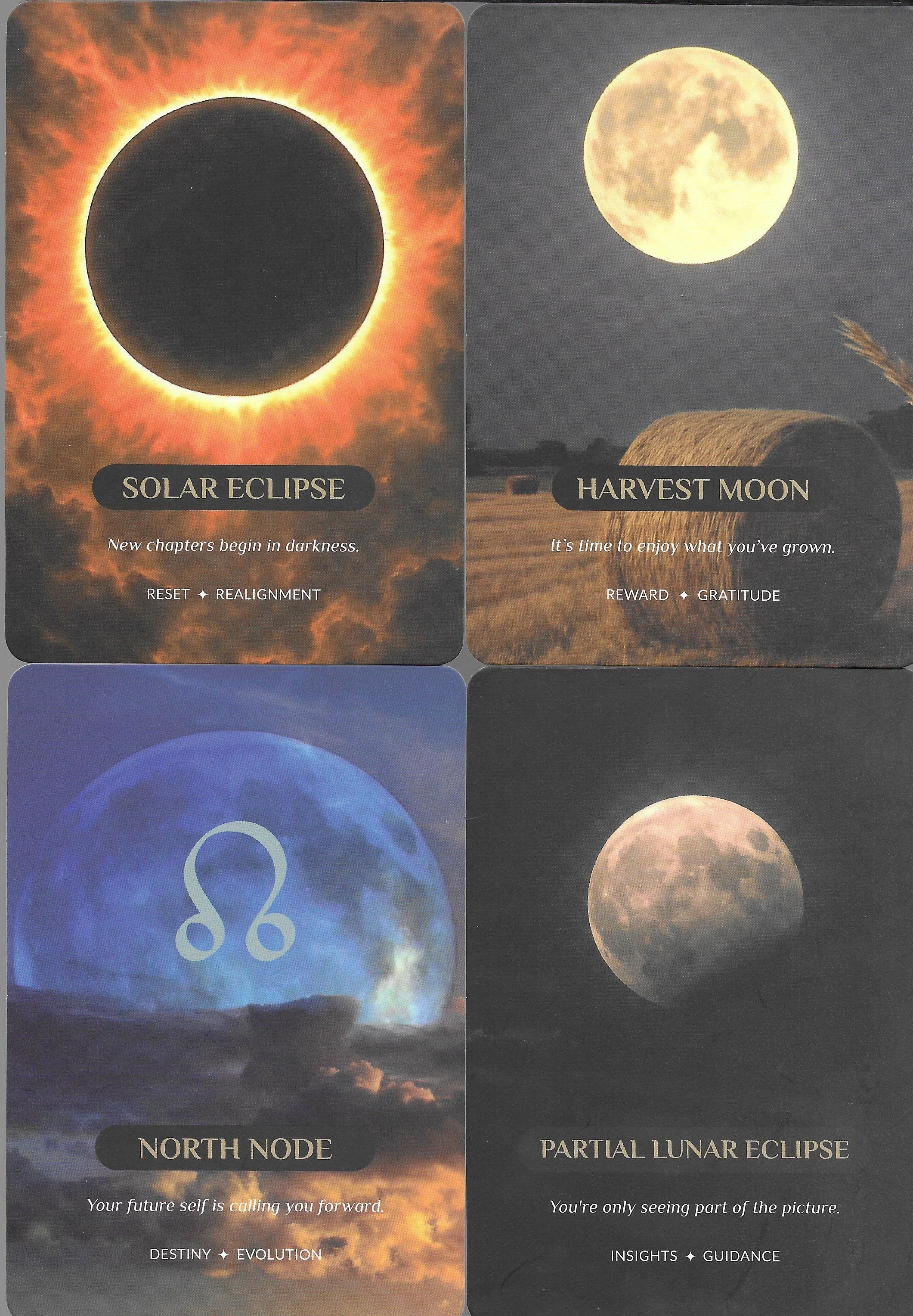 Harvest - N Node 10.jpg