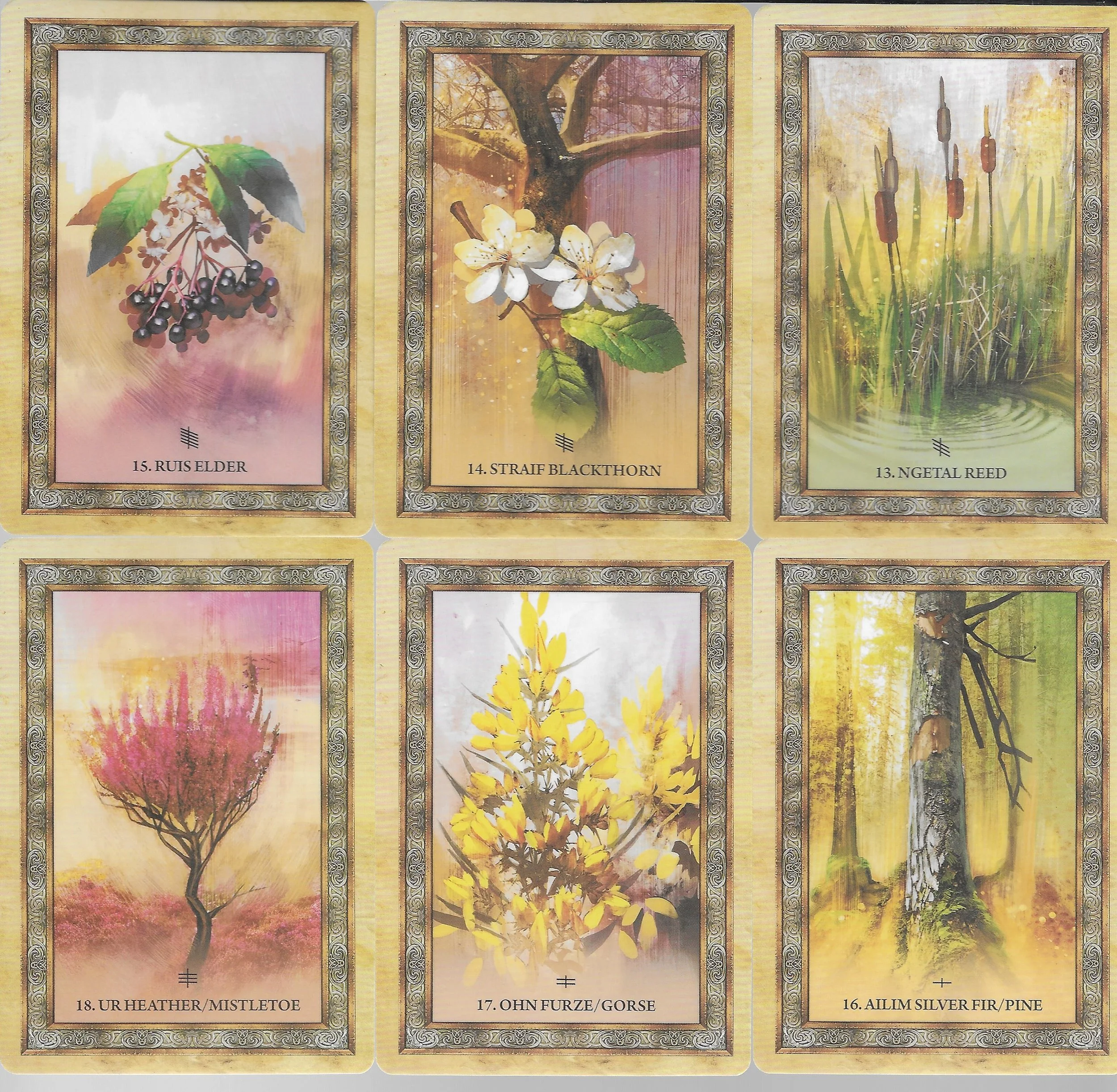 Celtic Tree 12-18.jpg