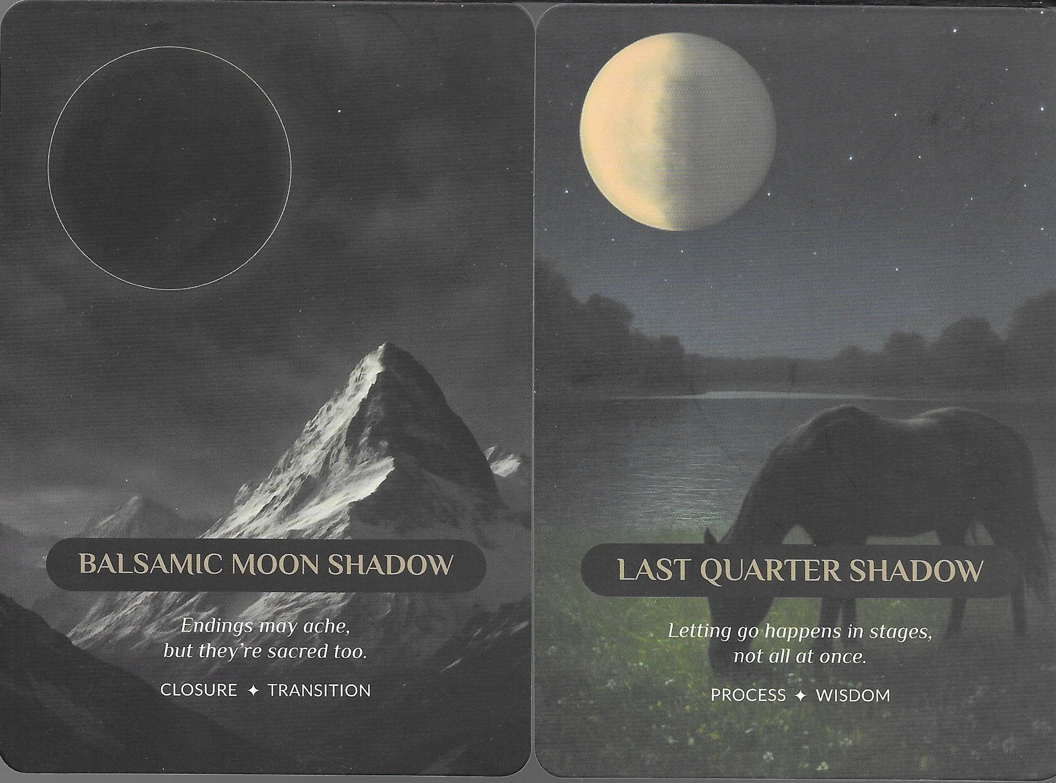 LQ Shadow - BM Shadow 13.jpg