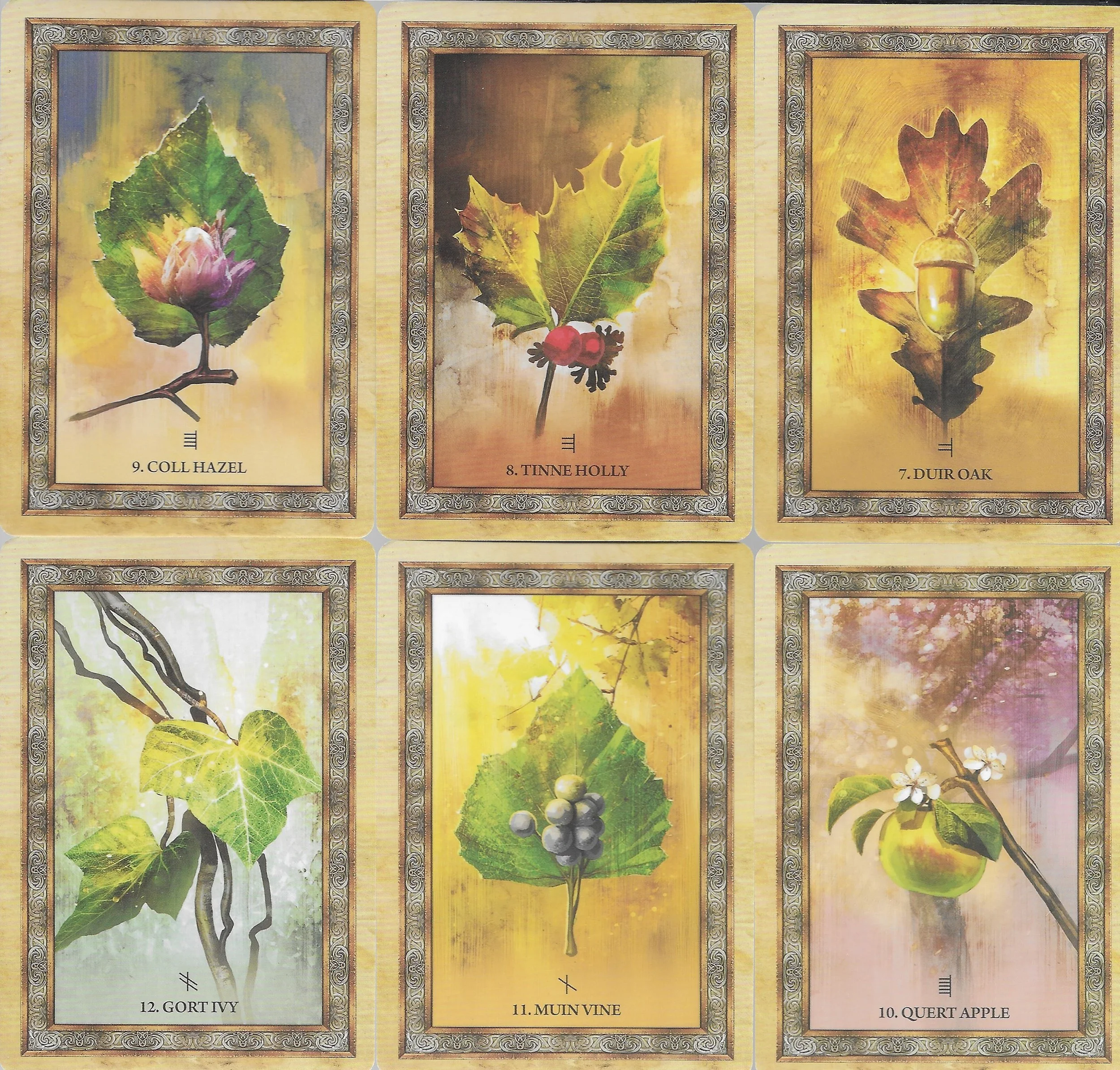 Celtic Tree 7-12.jpg