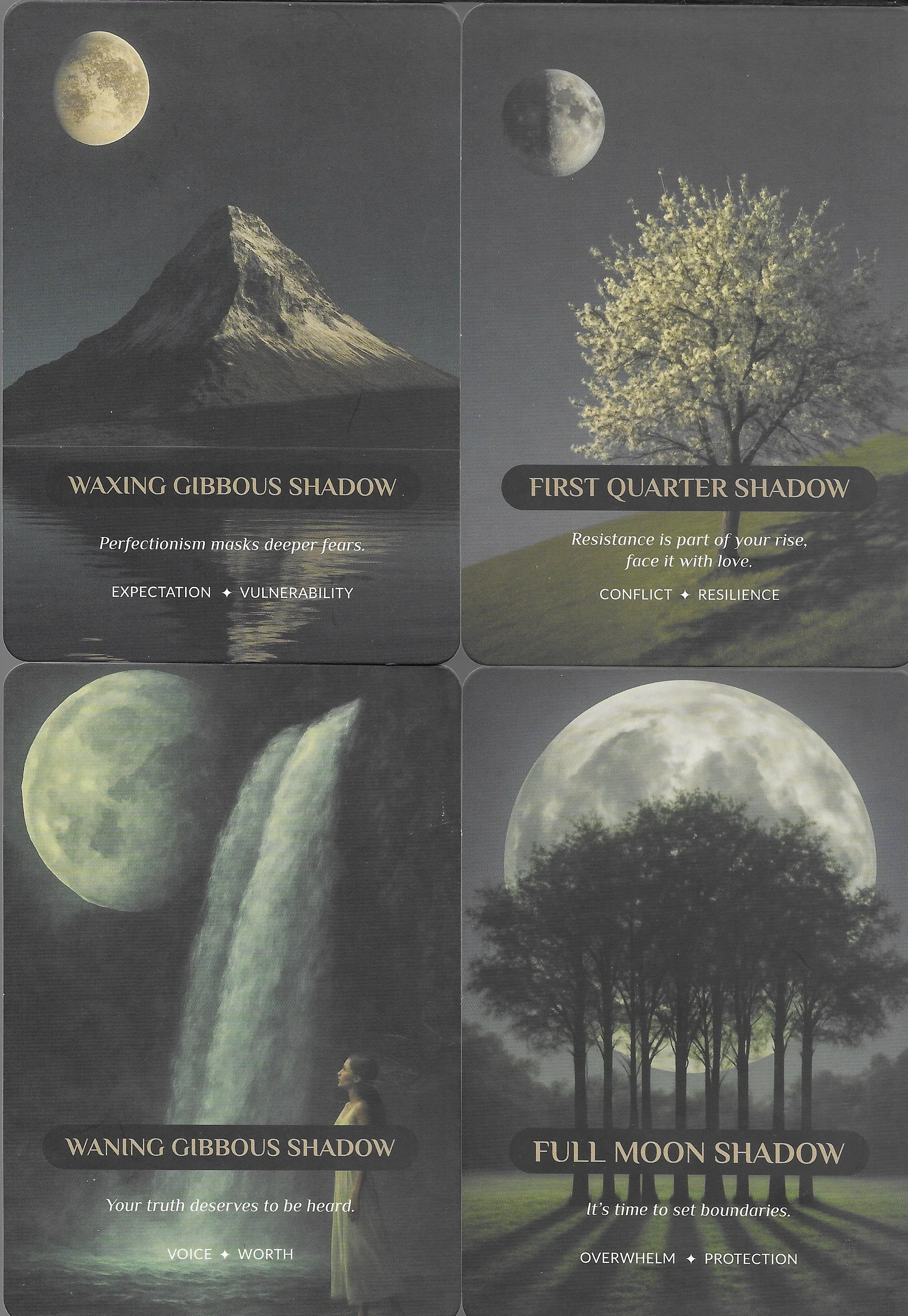 FQ Shadow - WG Shadow 12.jpg