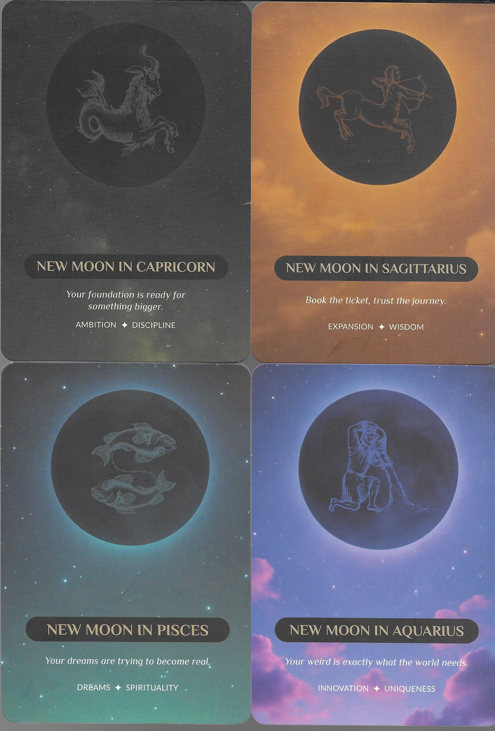 NM Sagitarrius-Pisces 8.jpg