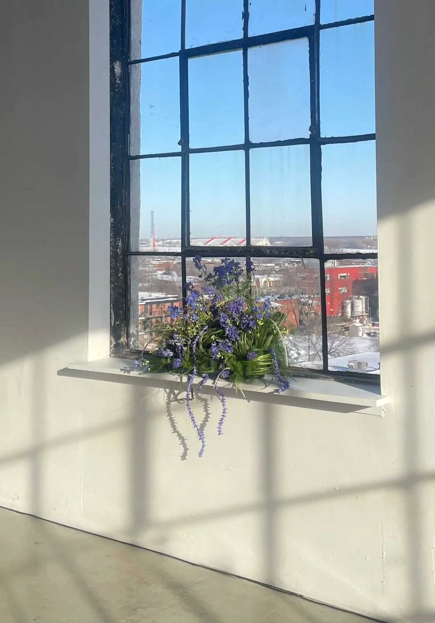 Flori Flora X Producteurs de bleuets sauvages