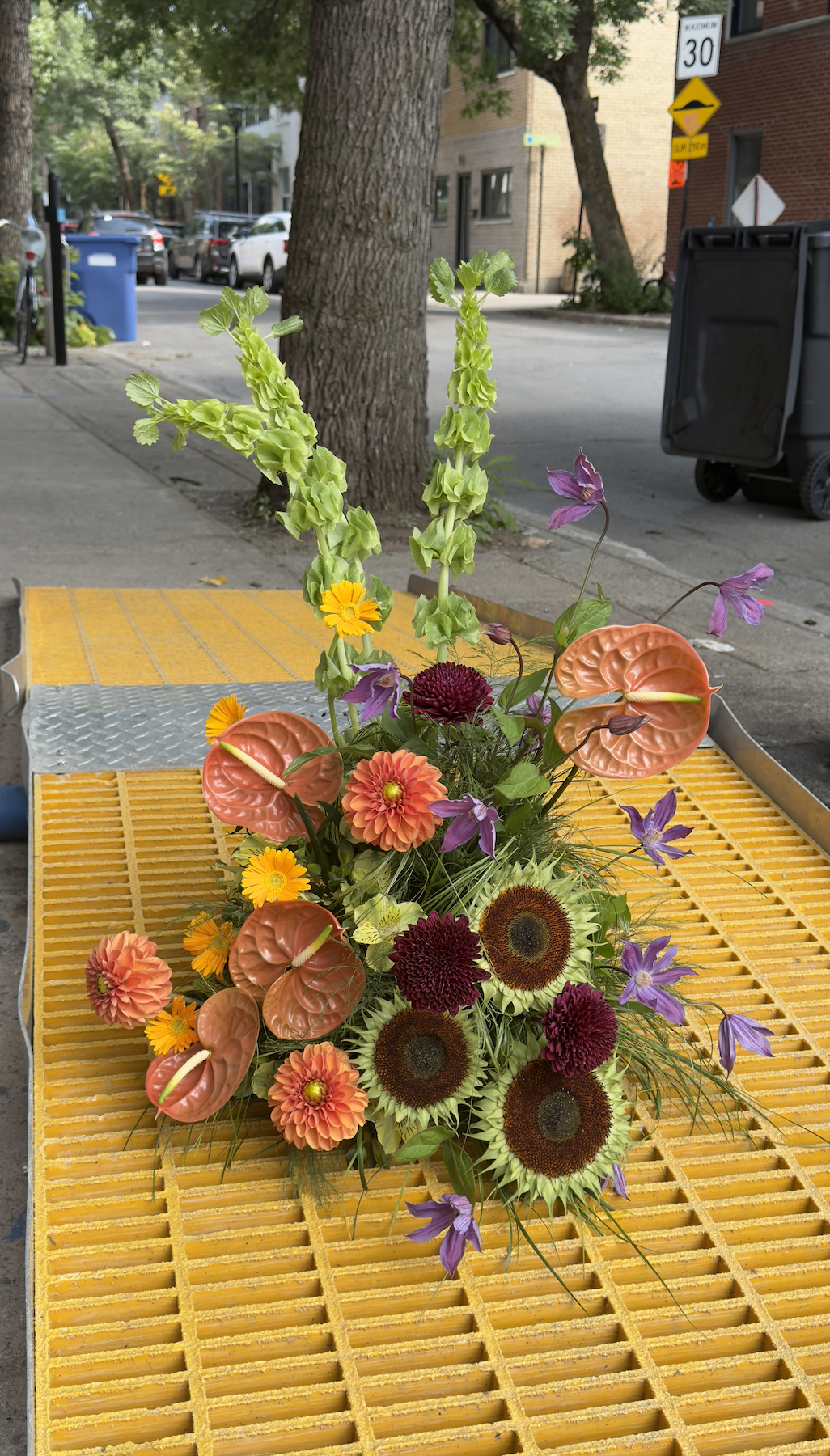 Screenshot 2026-08-19 at 1.10.18 PM.png