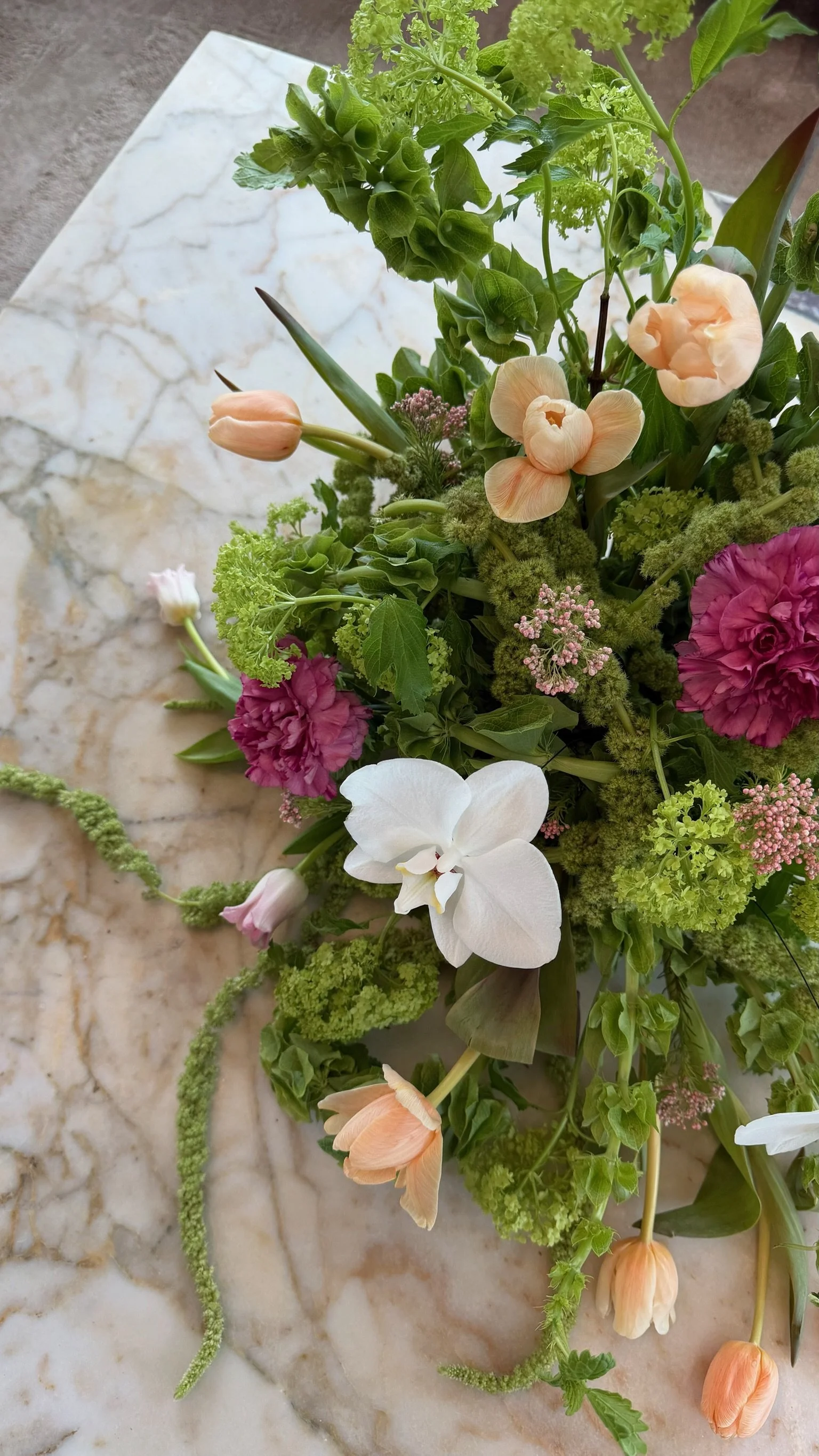 Flori Flora X Retych