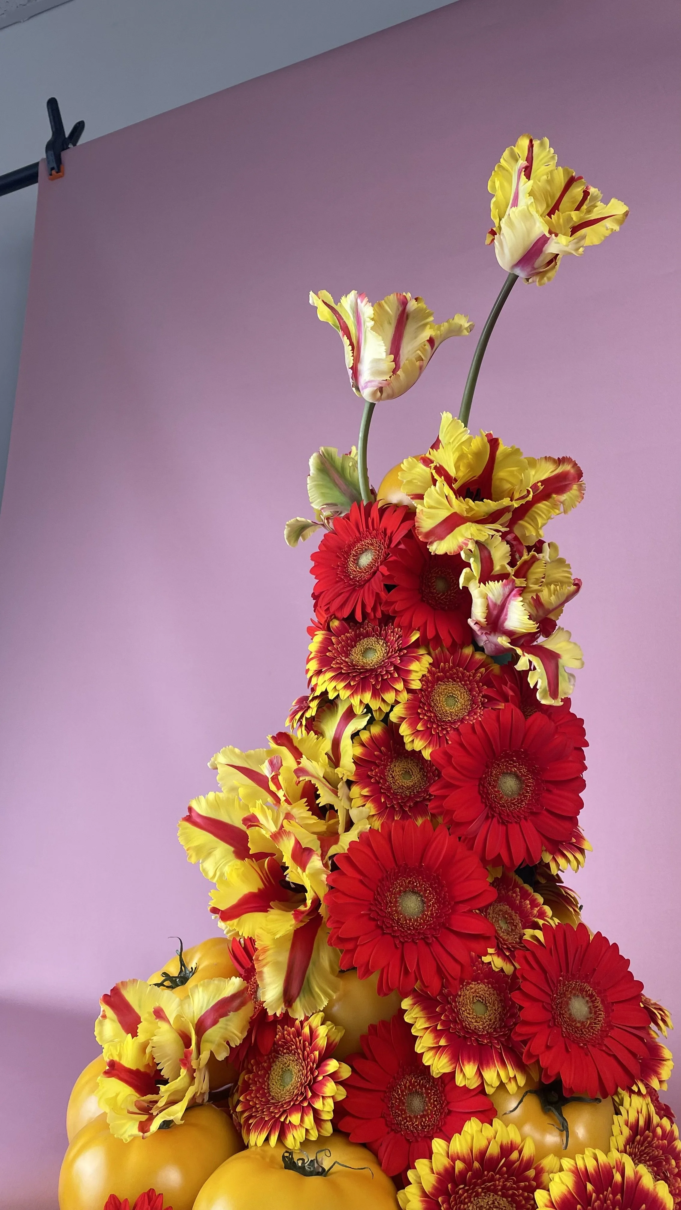 Arrangement de fleurs colorées comprenant des roses, des gerberas rouges et des œillets jaunes avec du décor de citrouilles jaunes, contre un fond rose.