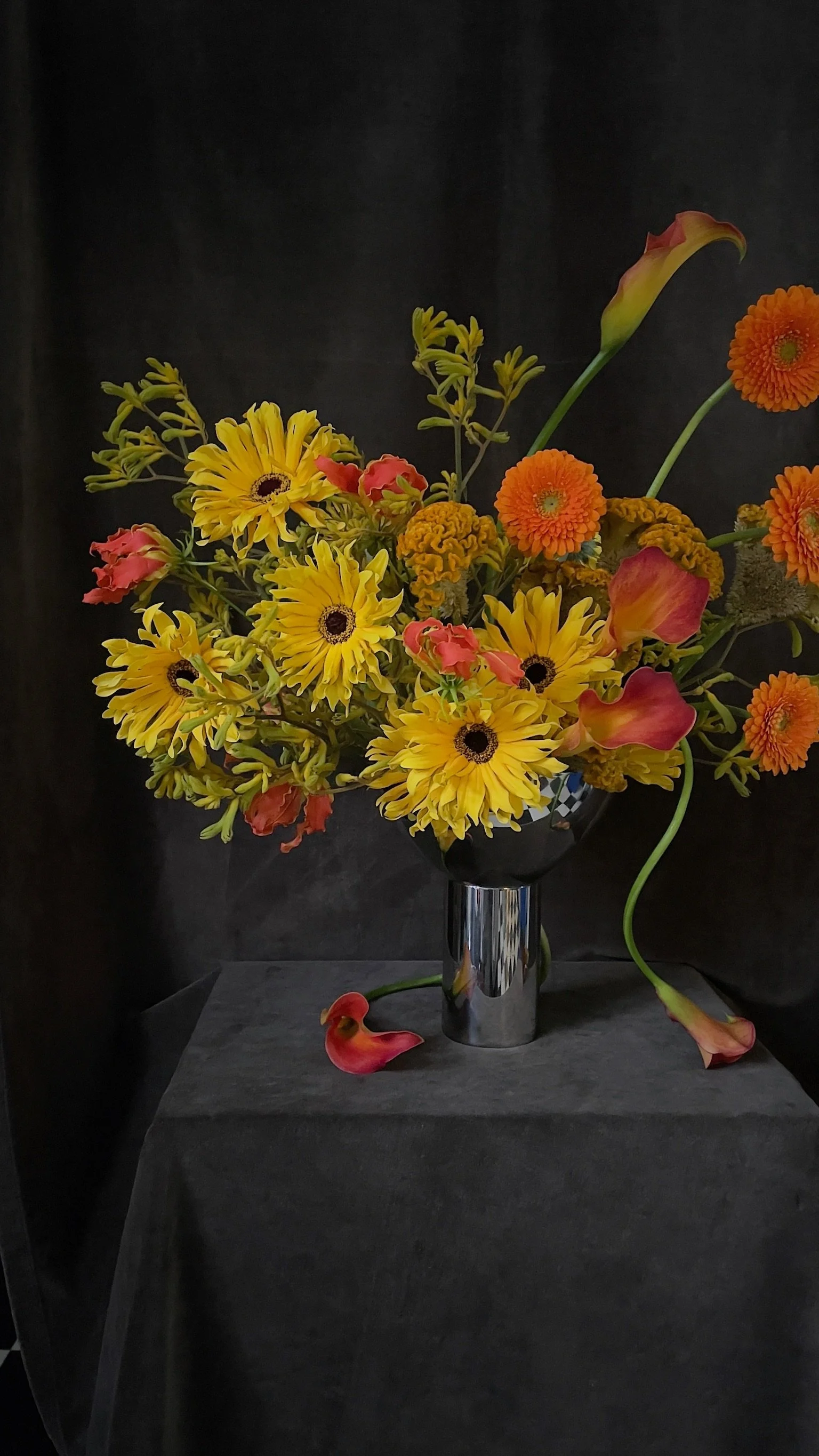 Flori Flora X Locali