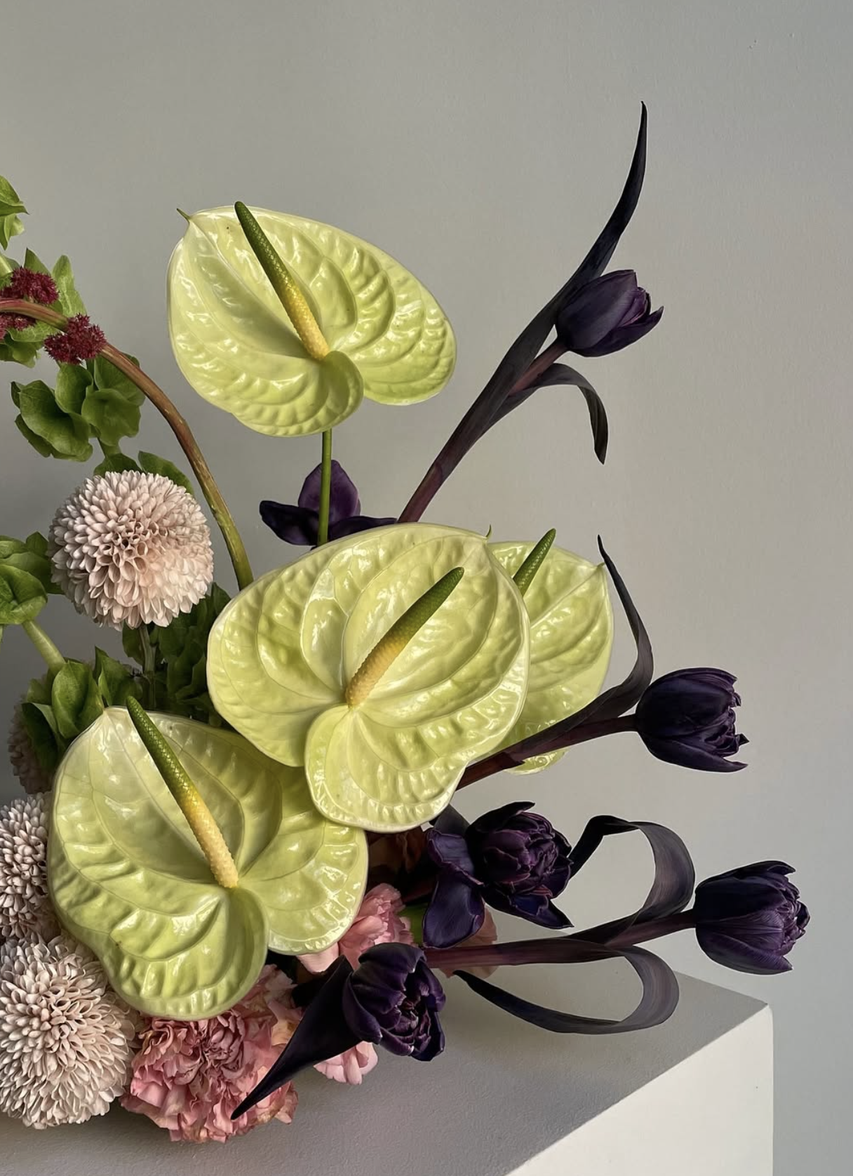 Screenshot 2026-03-30 at 1.52.05 PM.png