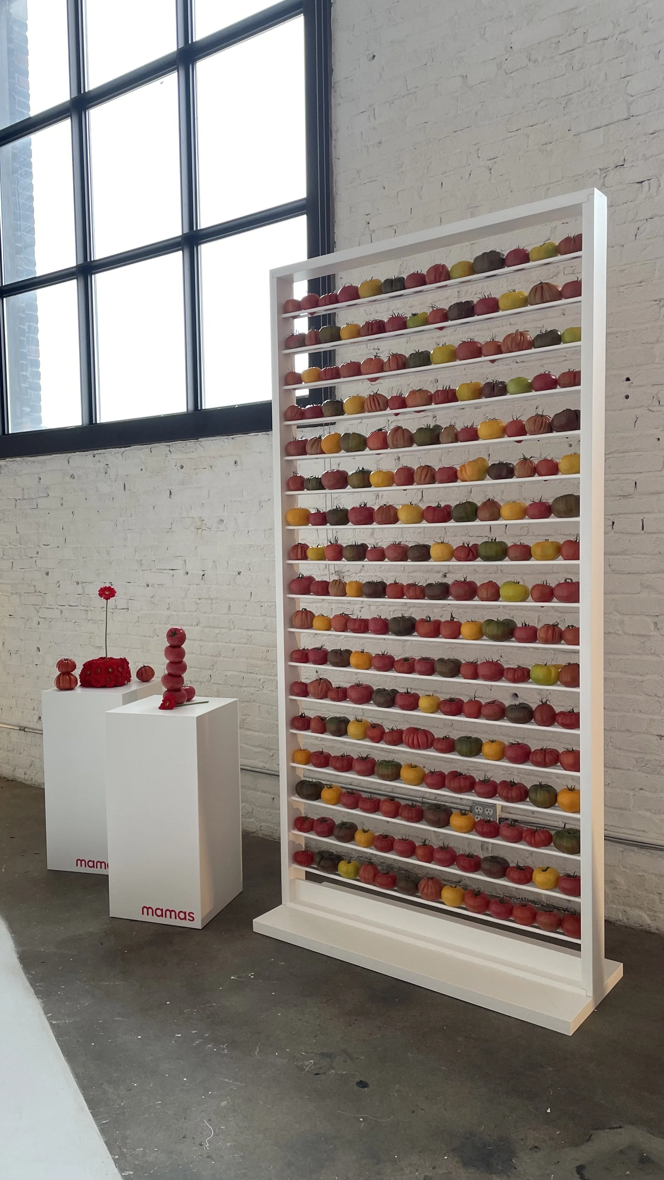 Une structure blanche avec plusieurs rangées de tomates de différentes couleurs, telles que rouge, verte, jaune, orange et brune. À côté, deux piédestals blancs portant des compositions de tomates rouges, avec une petite fleur rouge en haut d'une des