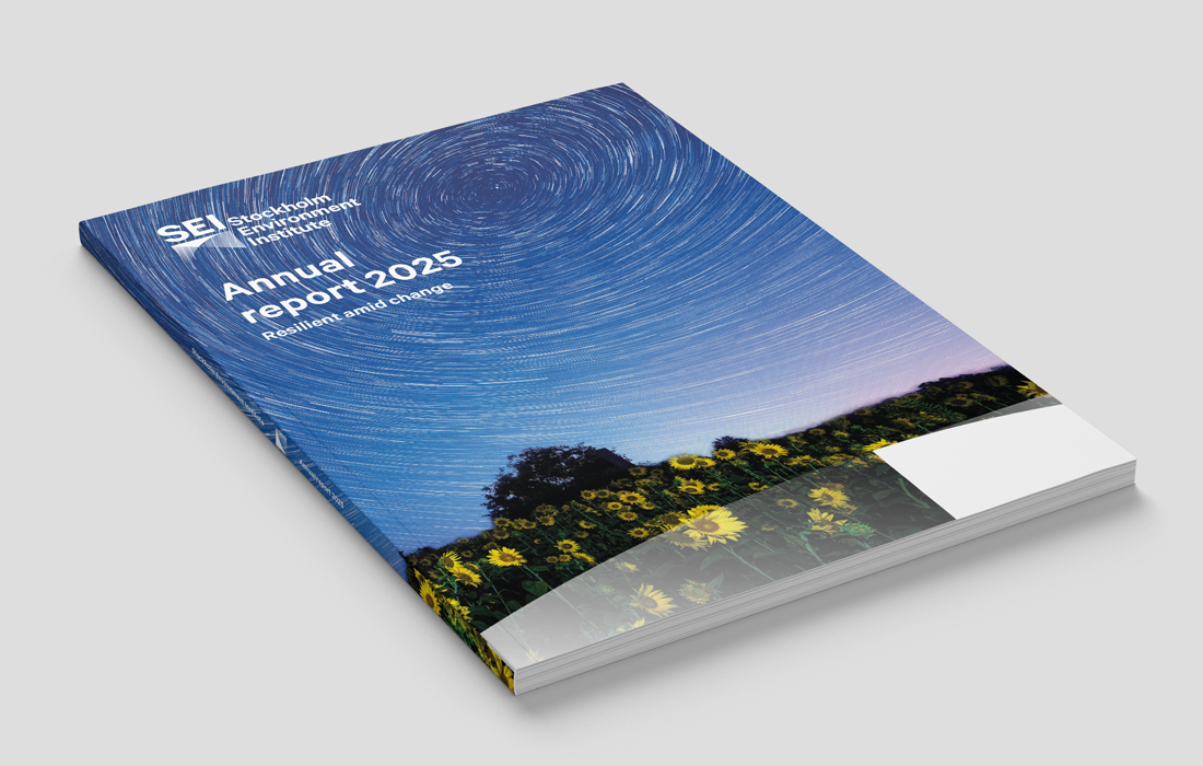 An image of the cover of the report - a starry sky and sunflower field.