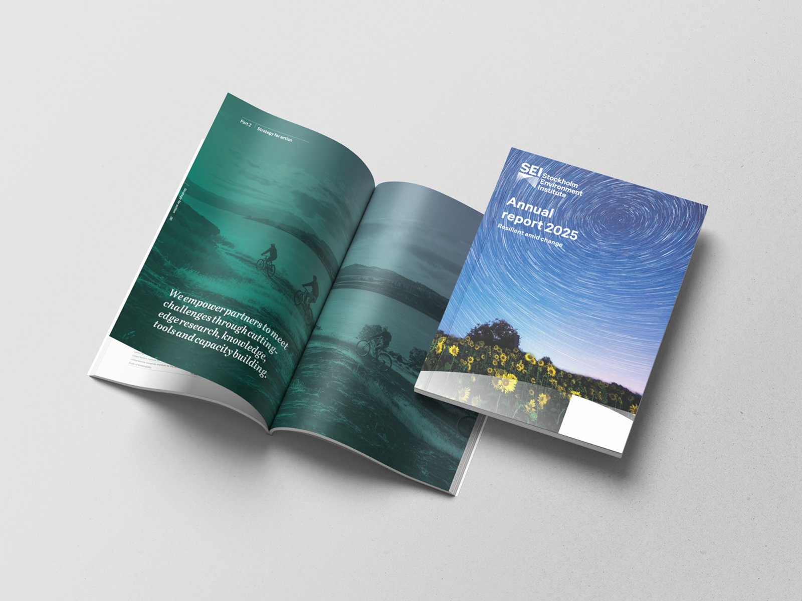 SEI_Mockup_cover_2.png