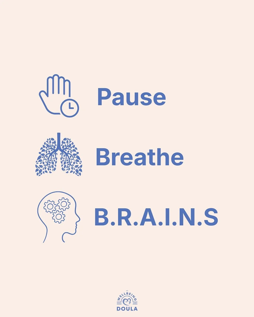 ⭐️ Pause. Breathe. Use your B.R.A.I.N.S. 🧠

 👉🏻 Pregnancy, birth, and the early days of postpartum are full of decisions, big and small!

⭐️ The B.R.A.I.N.S. method is a simple yet very effective tool to help you make choices with confidence, clar