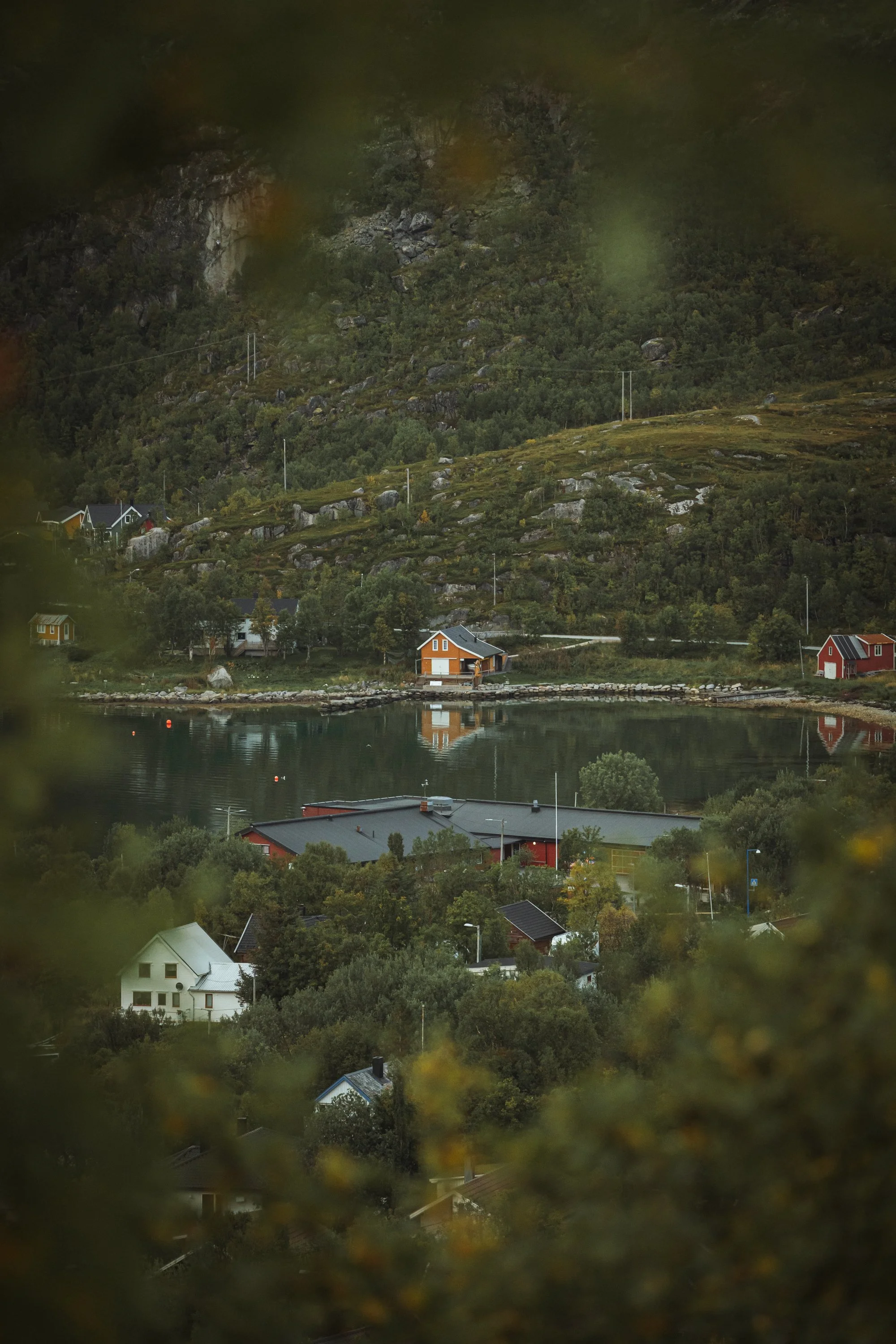 Steven & Brittany 15.09 web-7.jpg