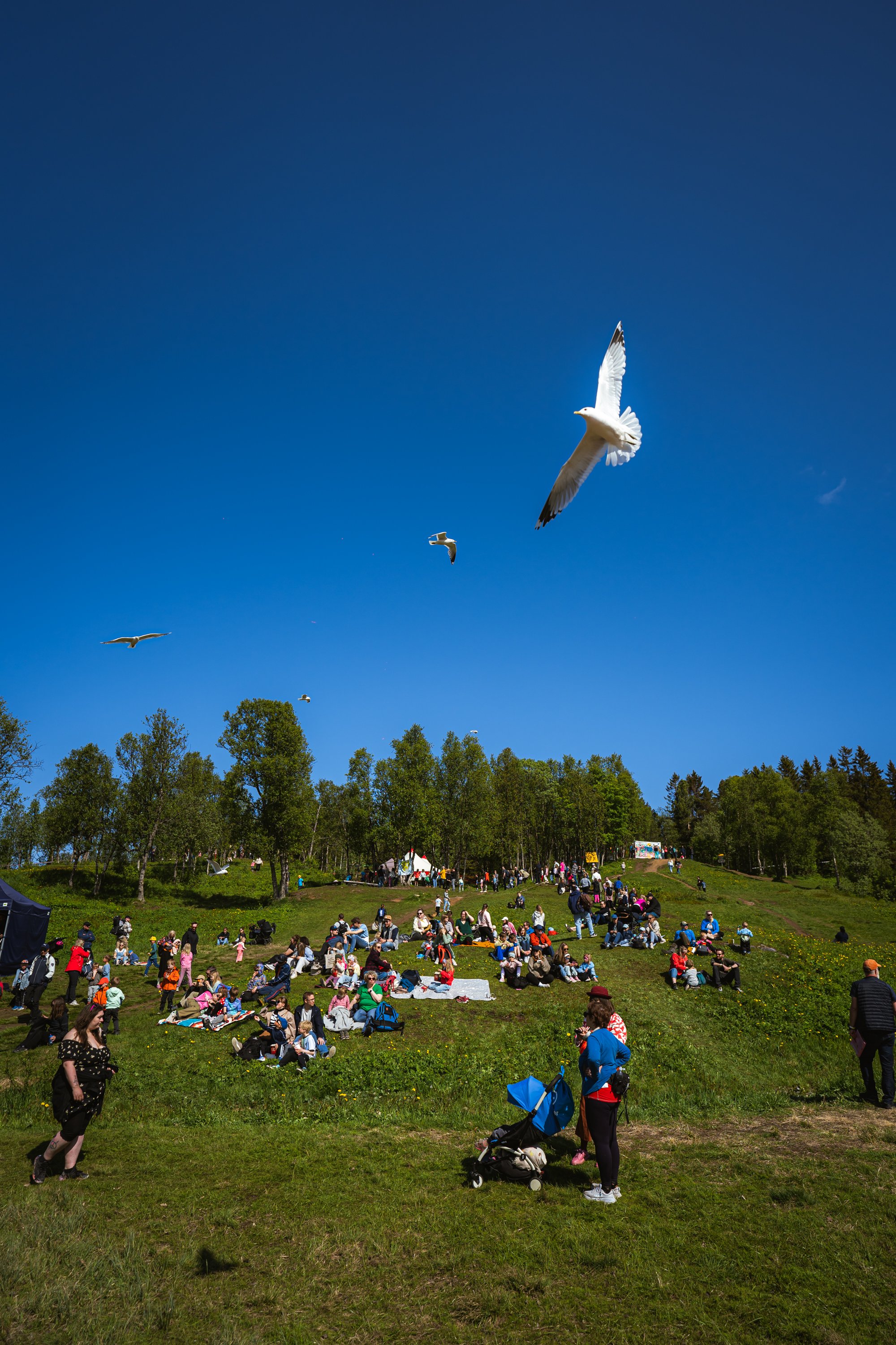 Bogdan_THE FLYING SEAGULLS ÅPNINGSSHOW-10.jpg