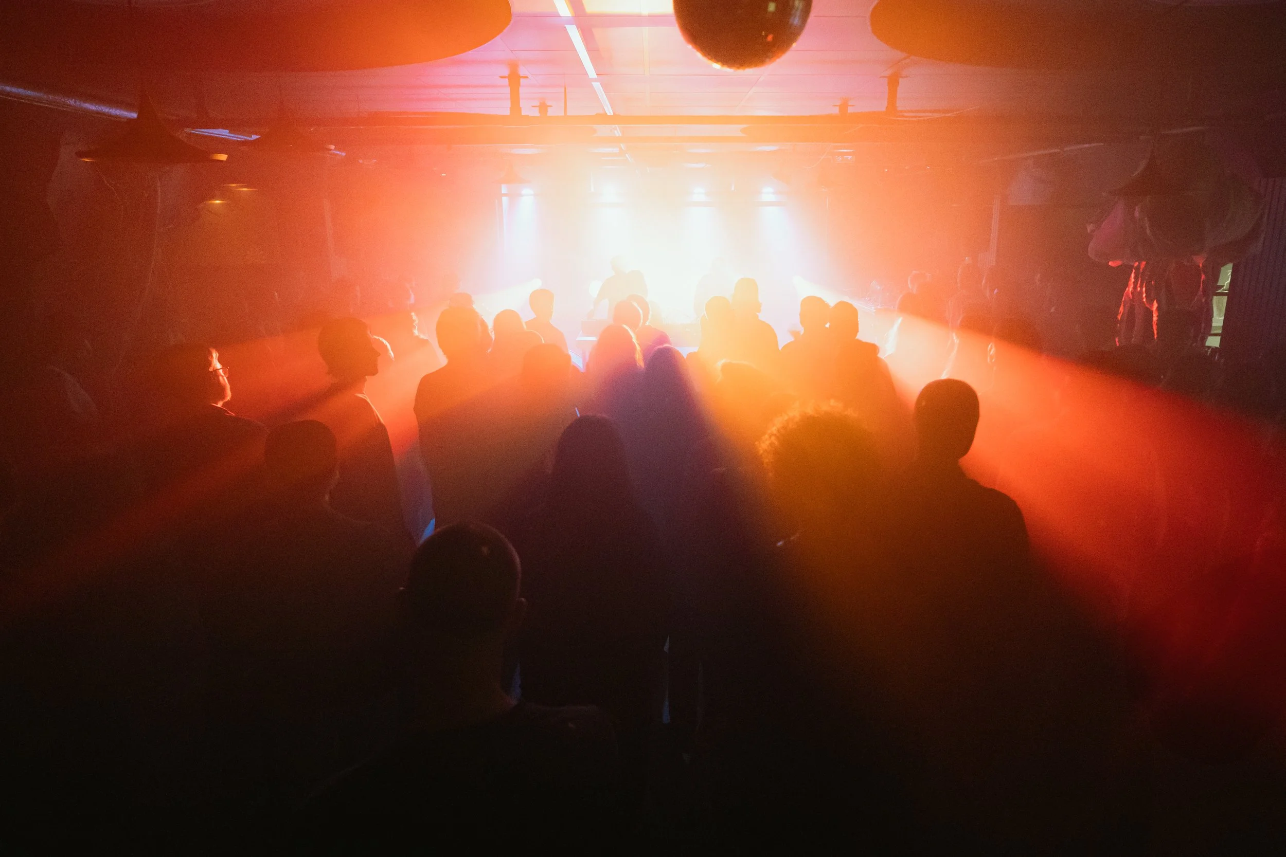 FESTIVALS | CONCERTS