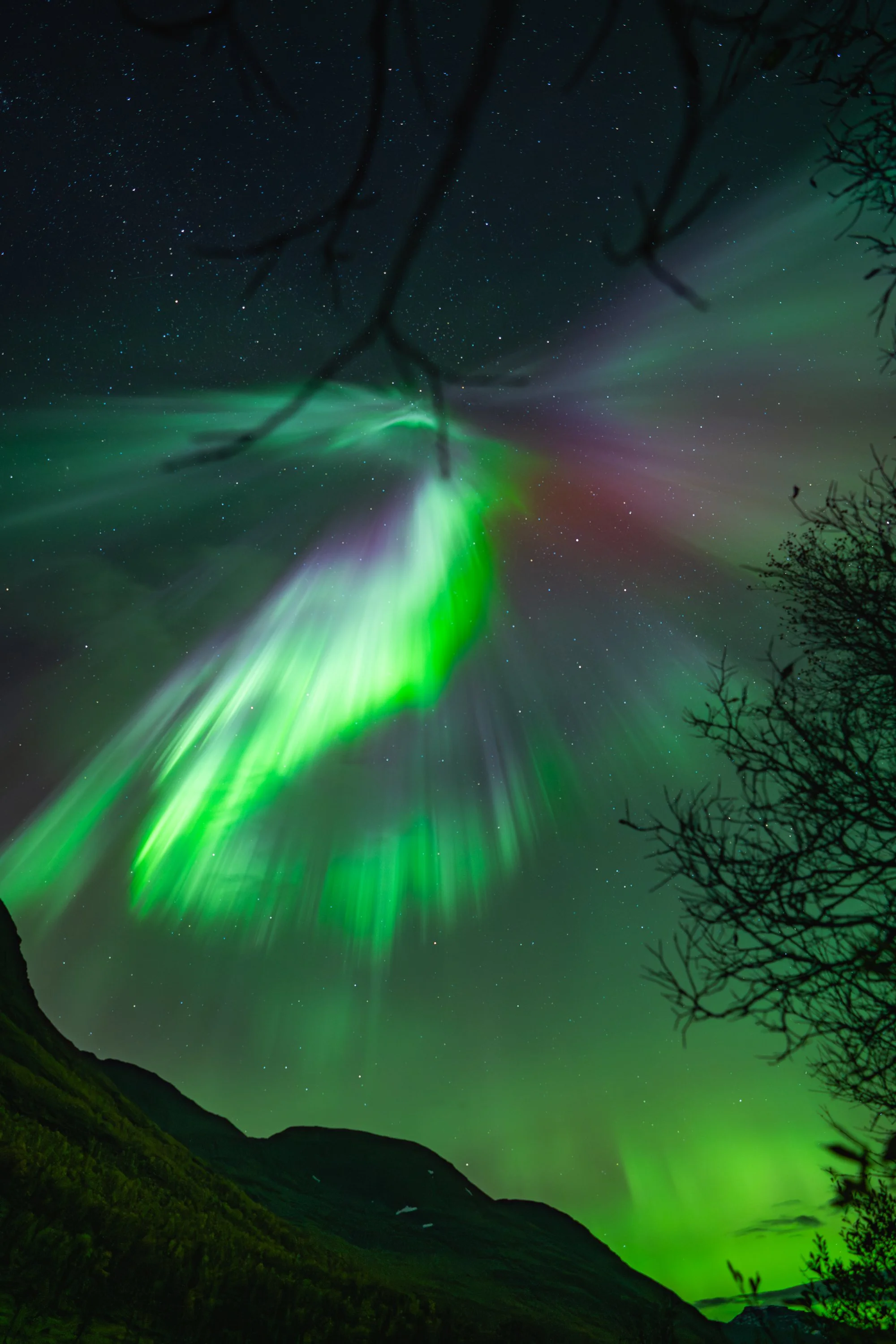 aurora shots1.jpg