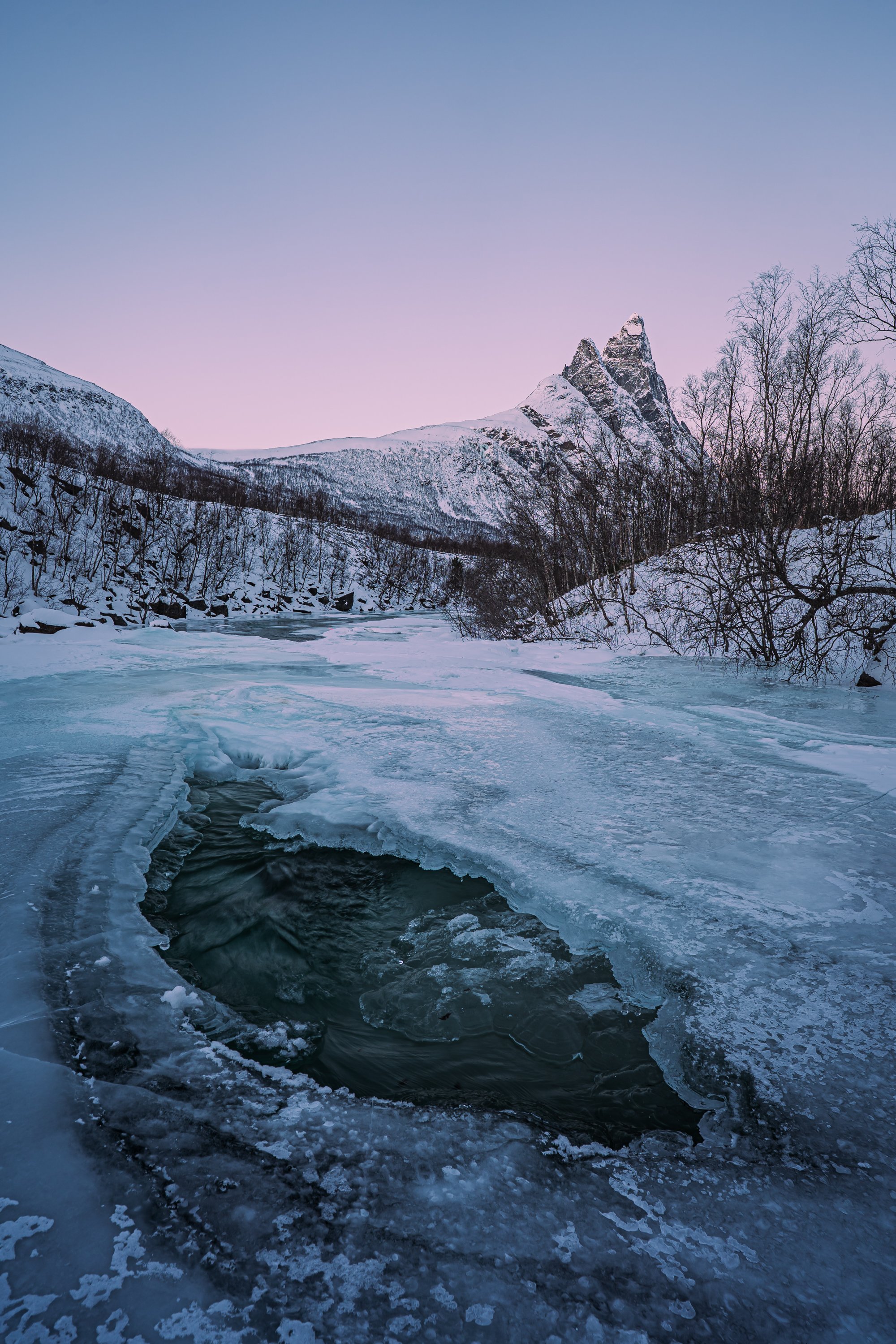 Signaldalen polarnight_-13.jpg