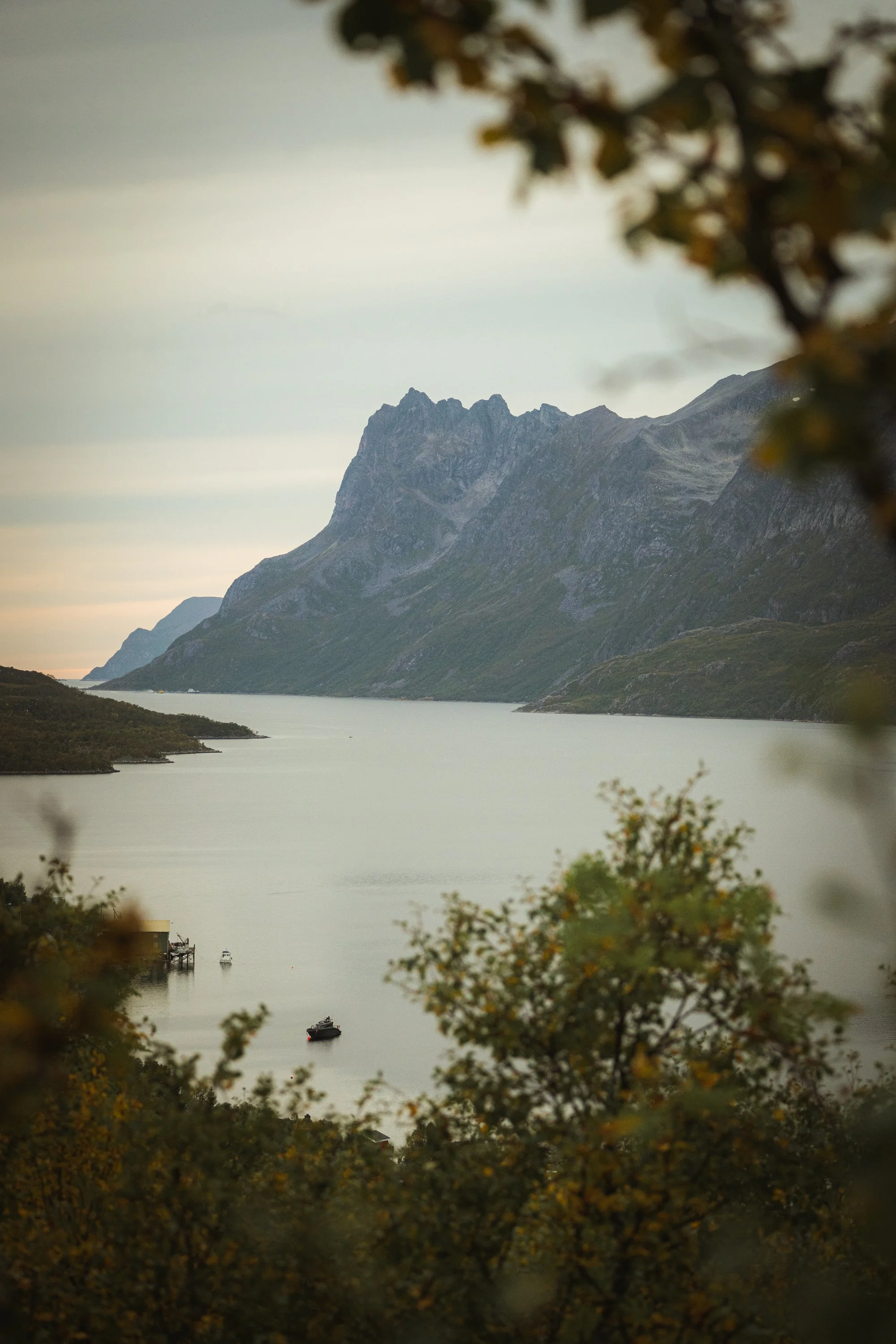 Steven & Brittany 15.09 web.jpg