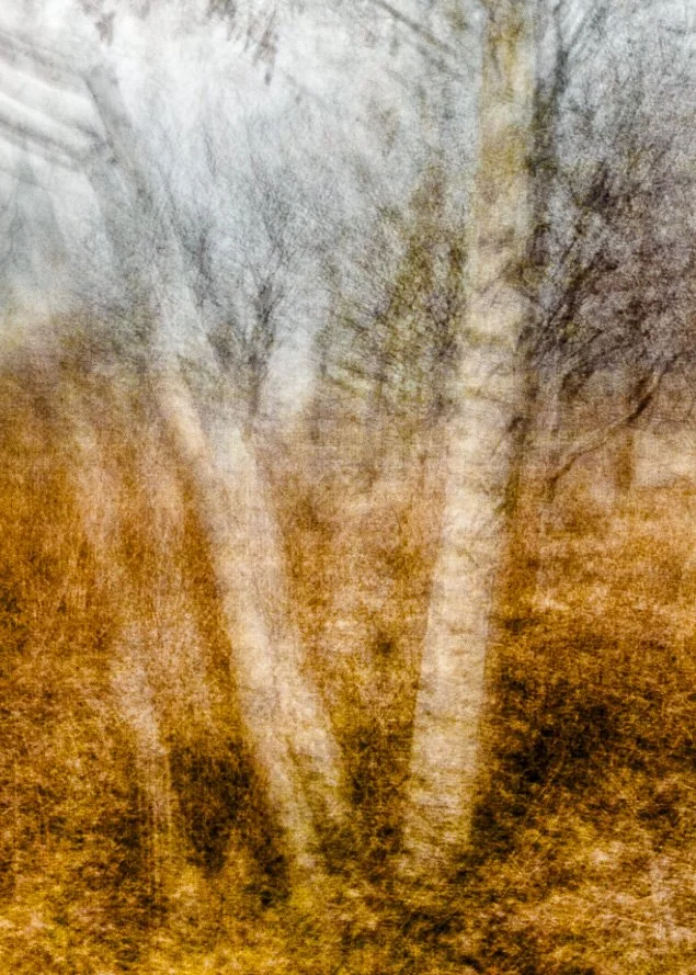 Loring Park in Winter #4.jpg