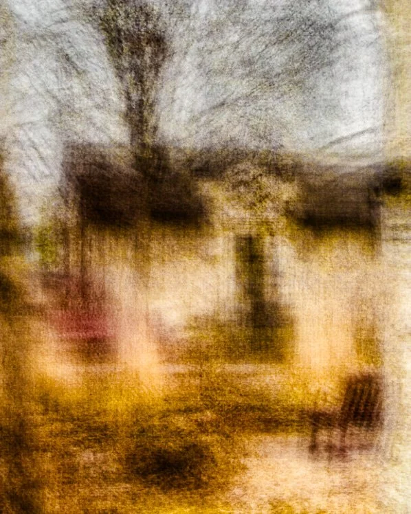 Loring Park in Winter