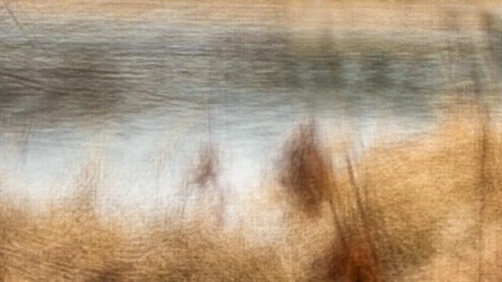 Loring Park in Winter #6.jpg