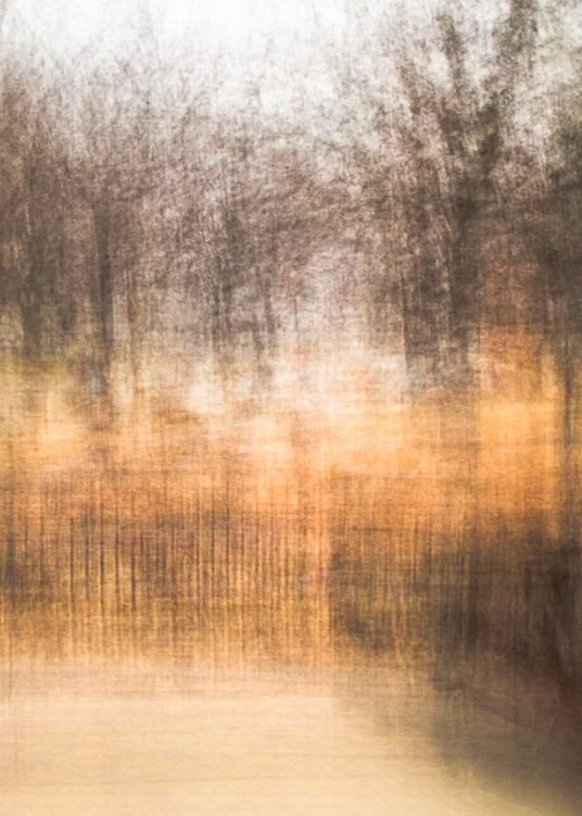 Loring Park in Winter #2.jpg