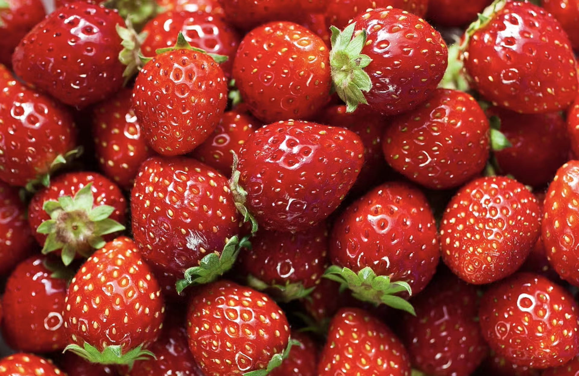 PheroSyn partners with UK strawberry growers 