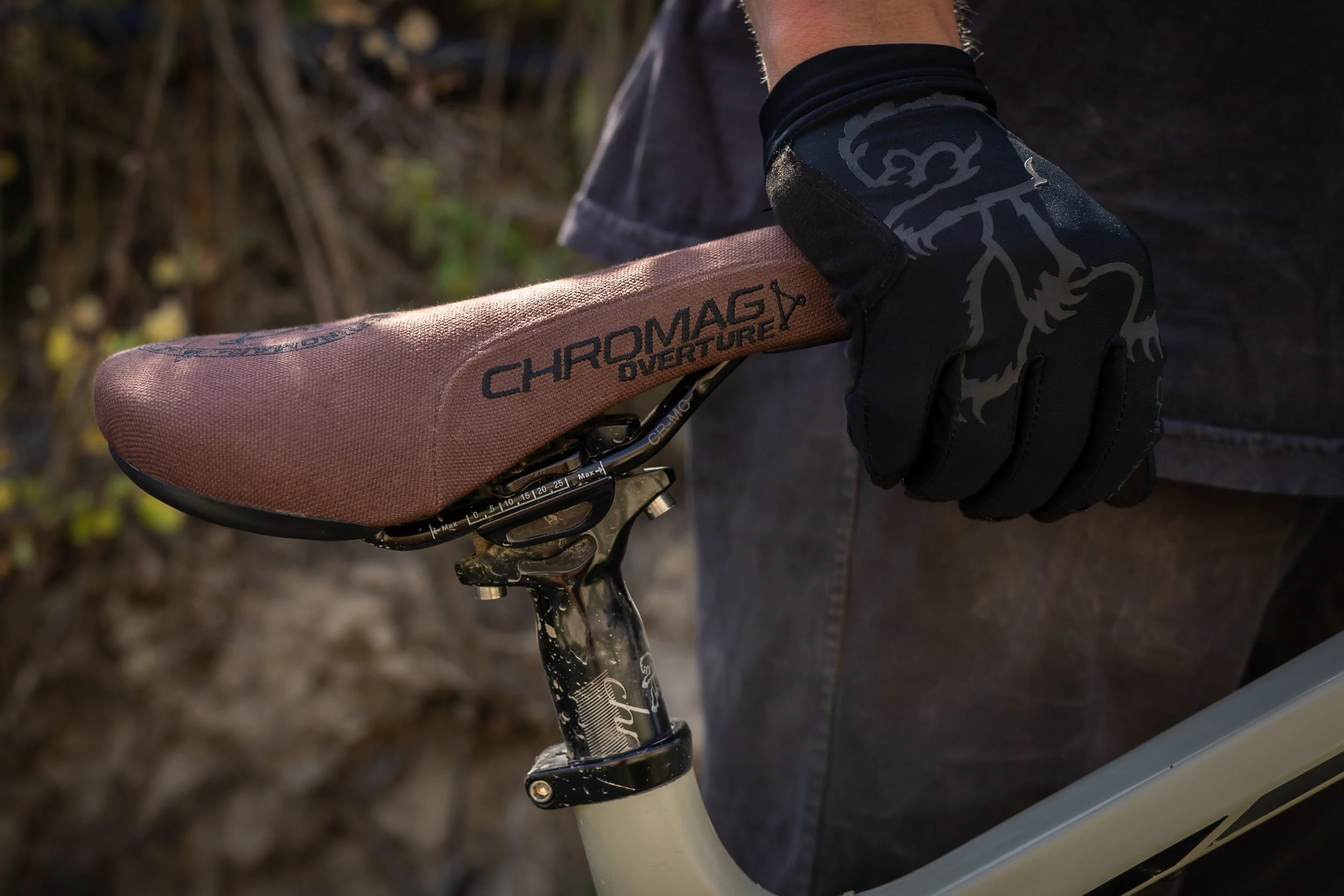 soren x chromag overture-03.JPEG