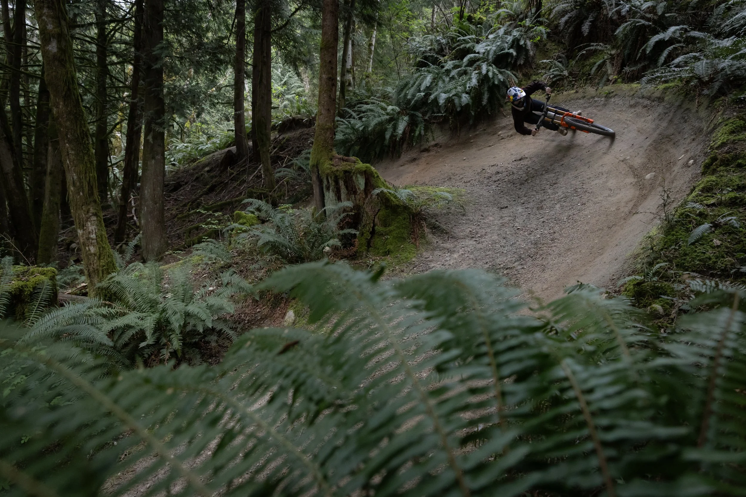 Norco Torrent 2026