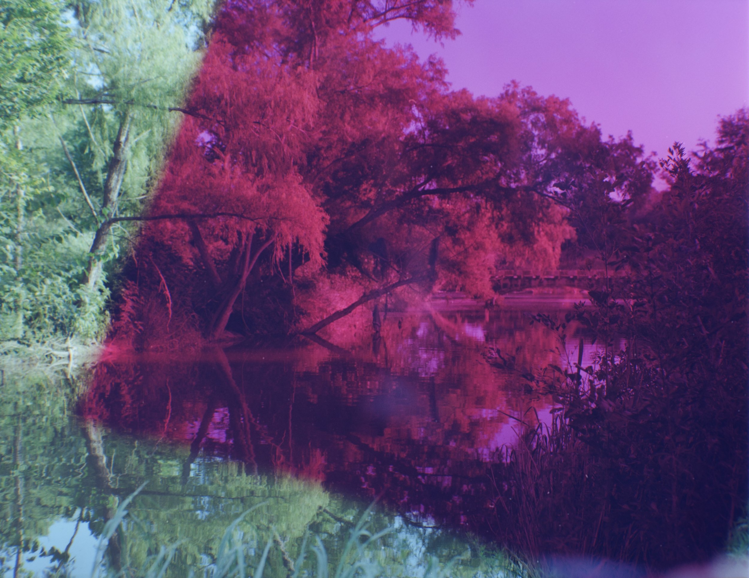 01_N1031_53_Landscape magenta.jpg