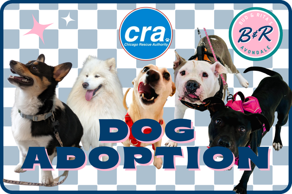 Dog Adoption Event @ Bud & Rita's: Avondale
