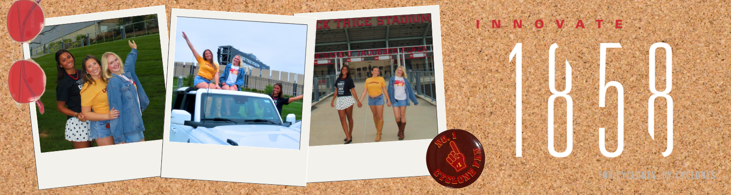 Vy Homecoming Banners (1).png