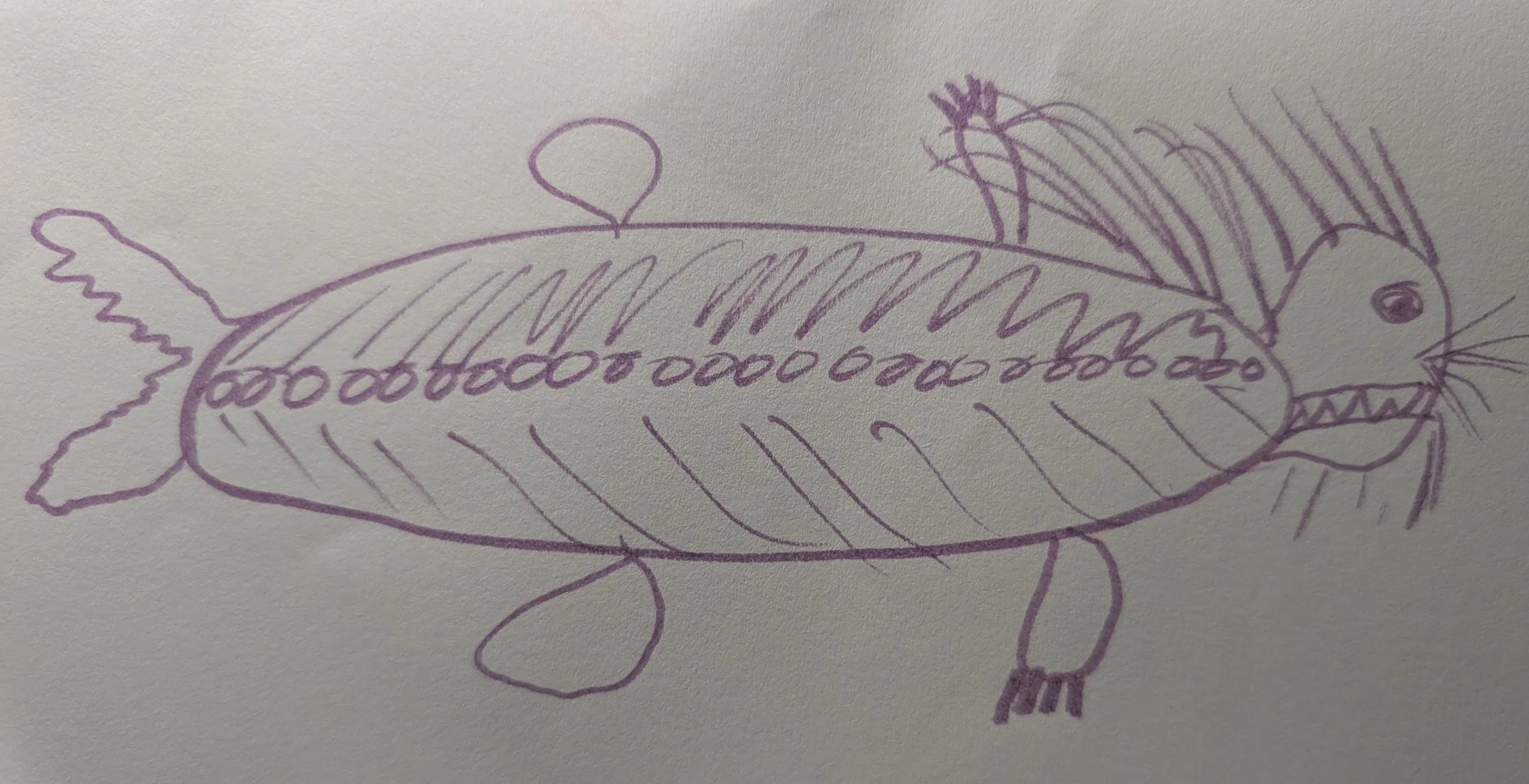 KrakenAA.jpg
