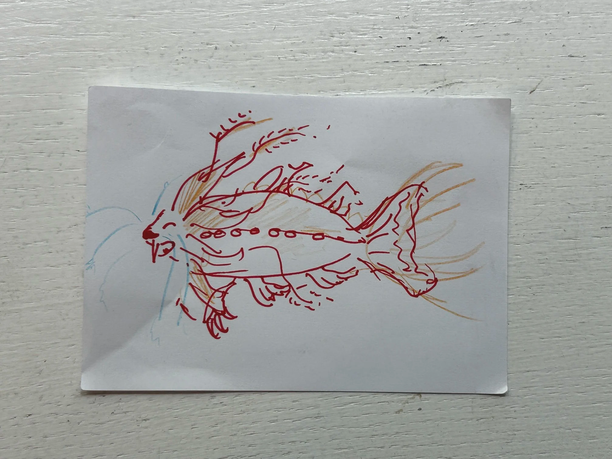 IMG_0701.png