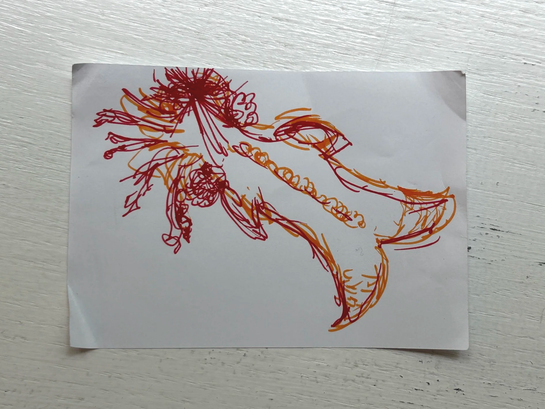 IMG_0703.png