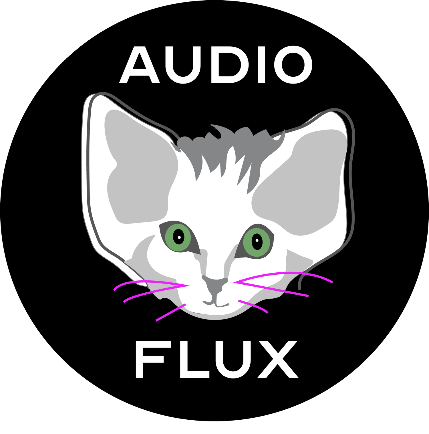 AUDIO FLUX