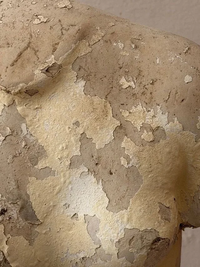 A fragment of timeless beauty.

This antique plaster torso carries the poetry of age, a study in form, silence, and imperfection.
Traces of time soften its surface, revealing the serene dialogue between fragility and strength.

For spaces that breath