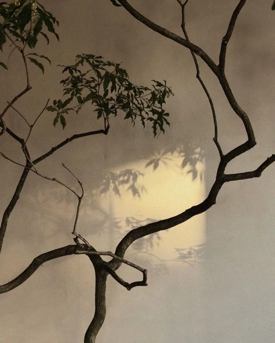 Our inspiration is born from subtlety: shadows, branches, textures, silence.
Every project begins with a feeling, not with an object.

This is a new project we are developing for 2026